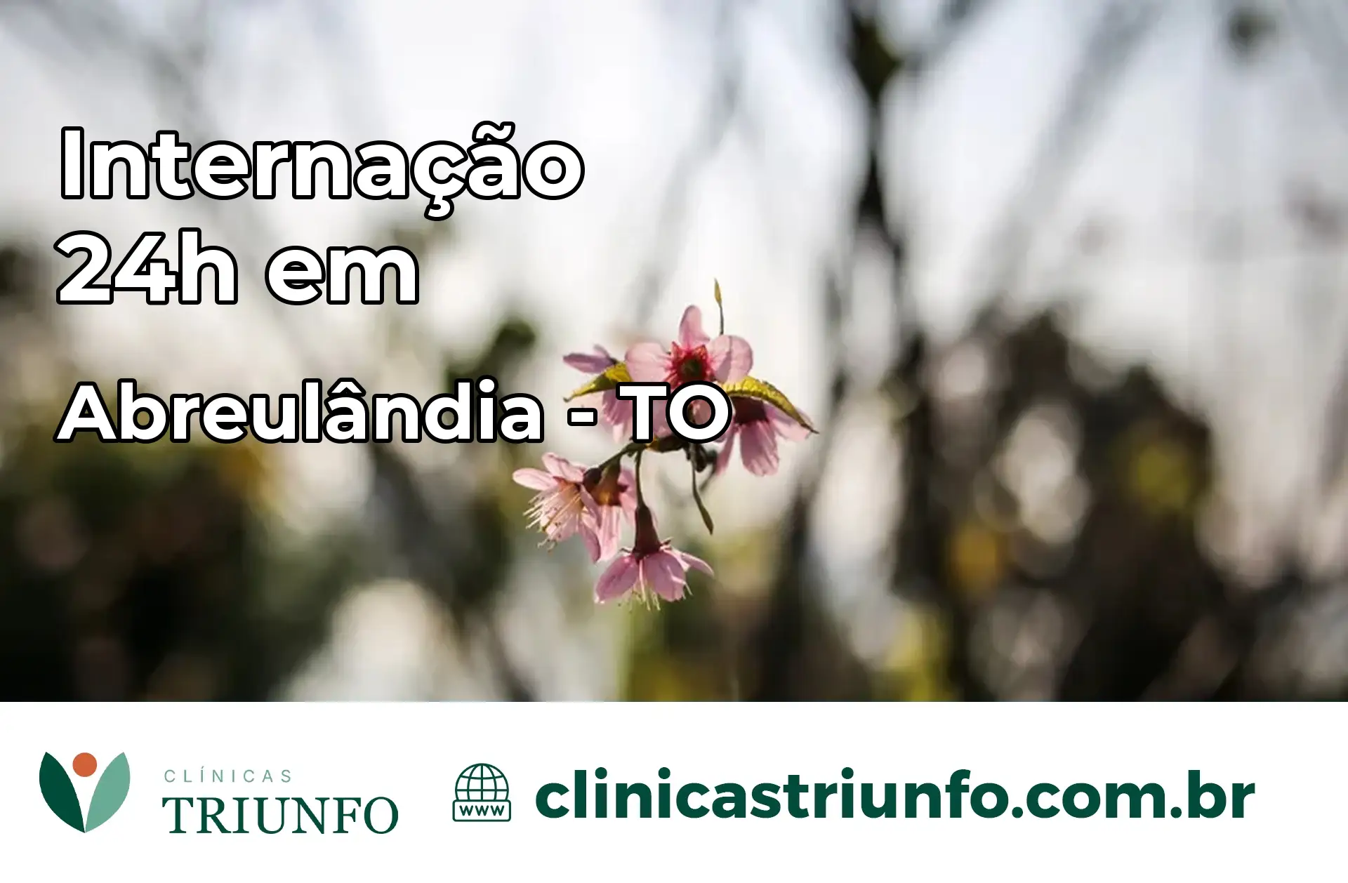 Internação 24 horas em Abreulândia – TO
