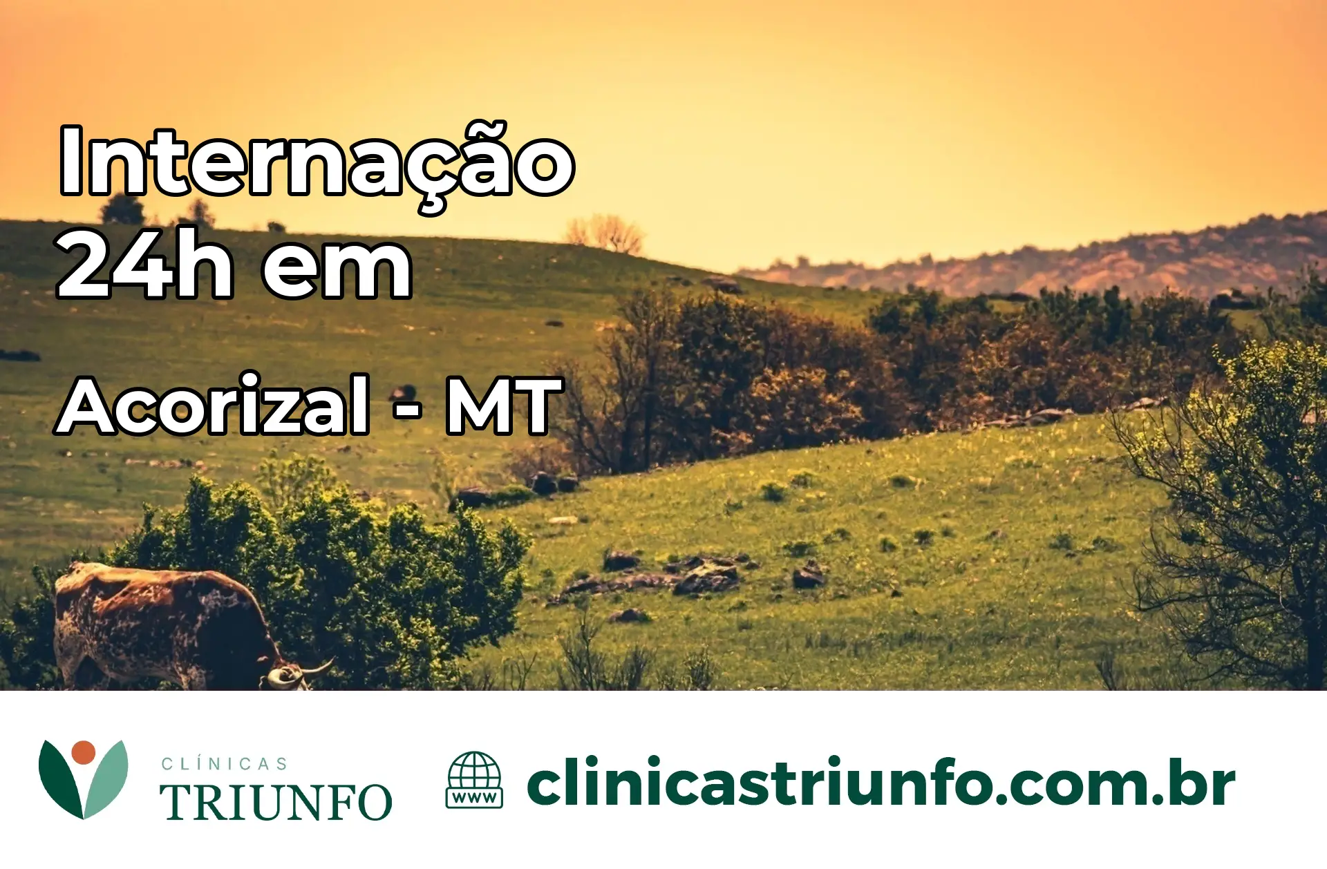Internação 24 horas em Acorizal – MT