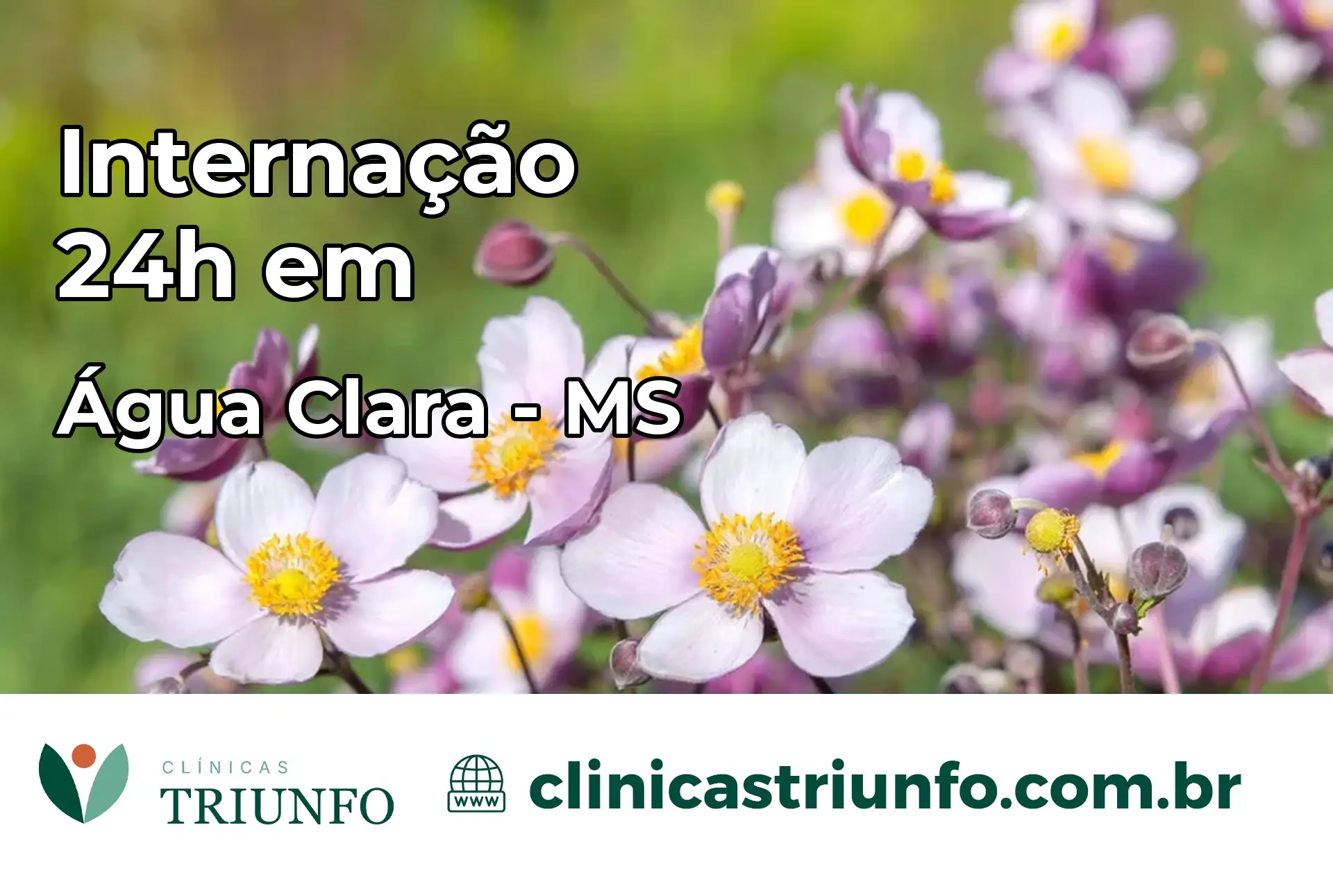 Internação 24 horas em Água Clara – MS