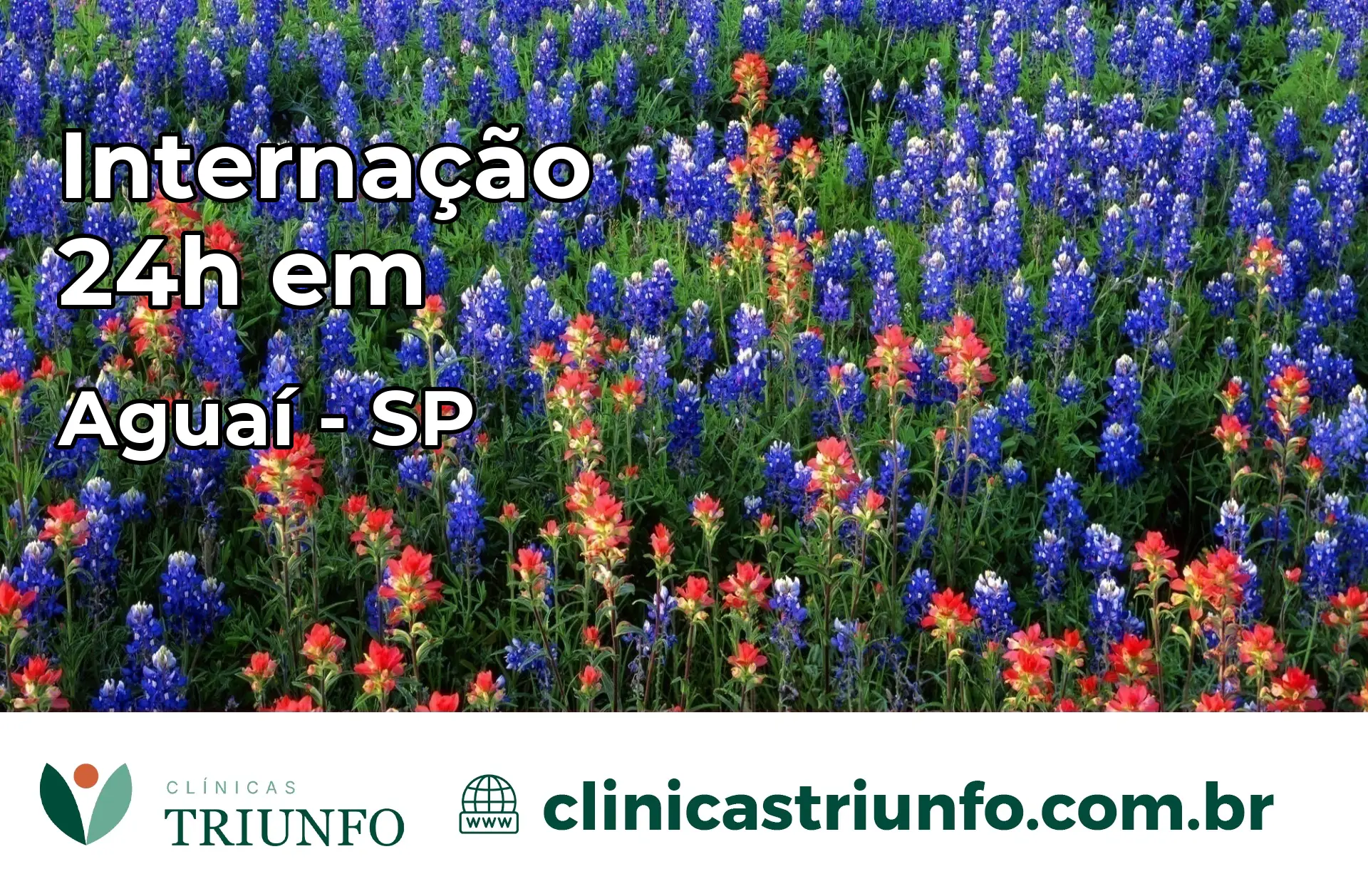 Internação 24 horas em Aguaí – SP