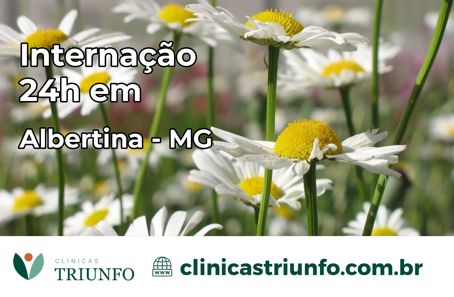 Internação 24 horas em Albertina – MG