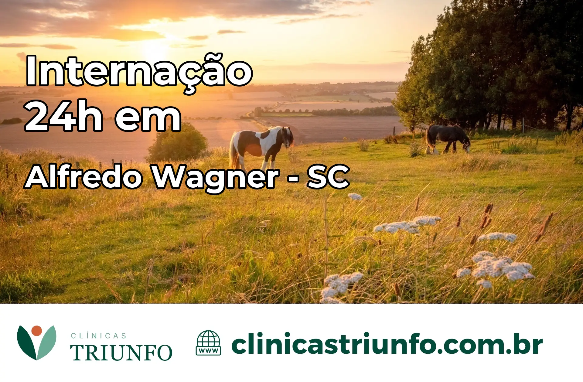 Internação 24 horas em Alfredo Wagner – SC
