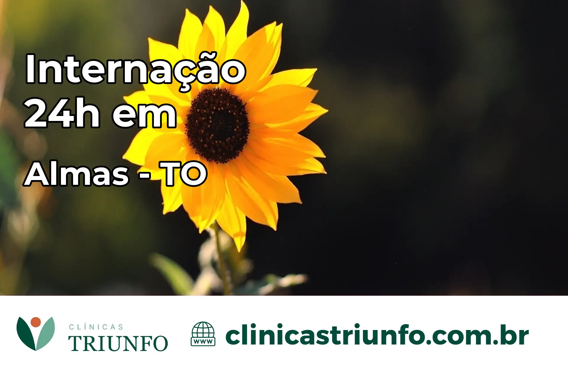 Internação 24 horas em Almas – TO