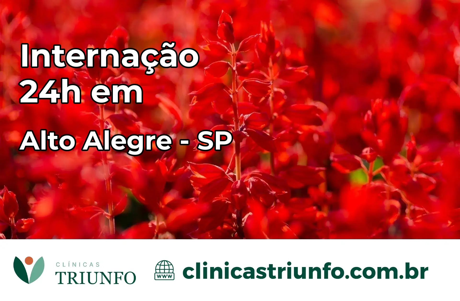 Internação 24 horas em Alto Alegre – SP