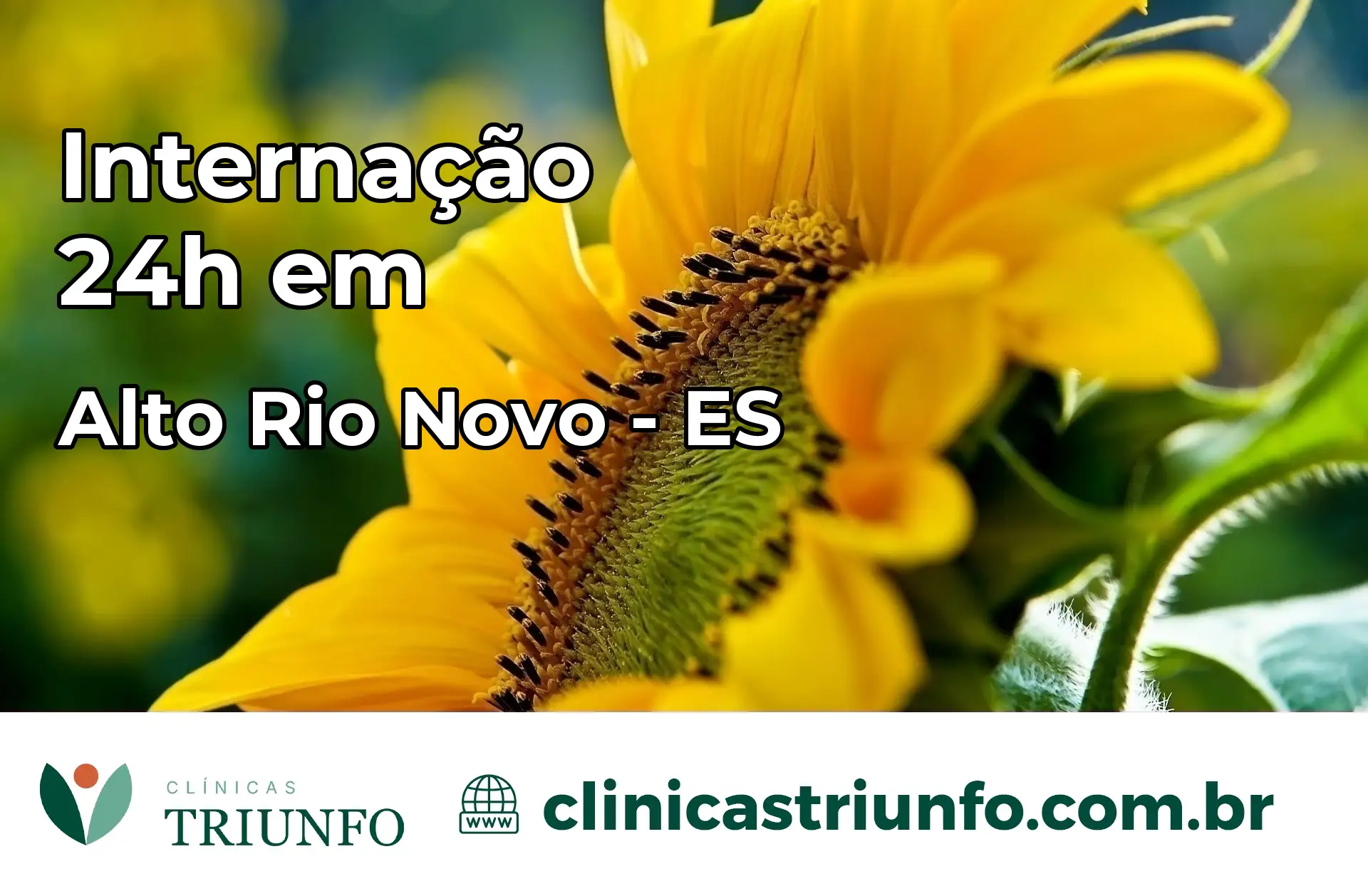 Internação 24 horas em Alto Rio Novo – ES