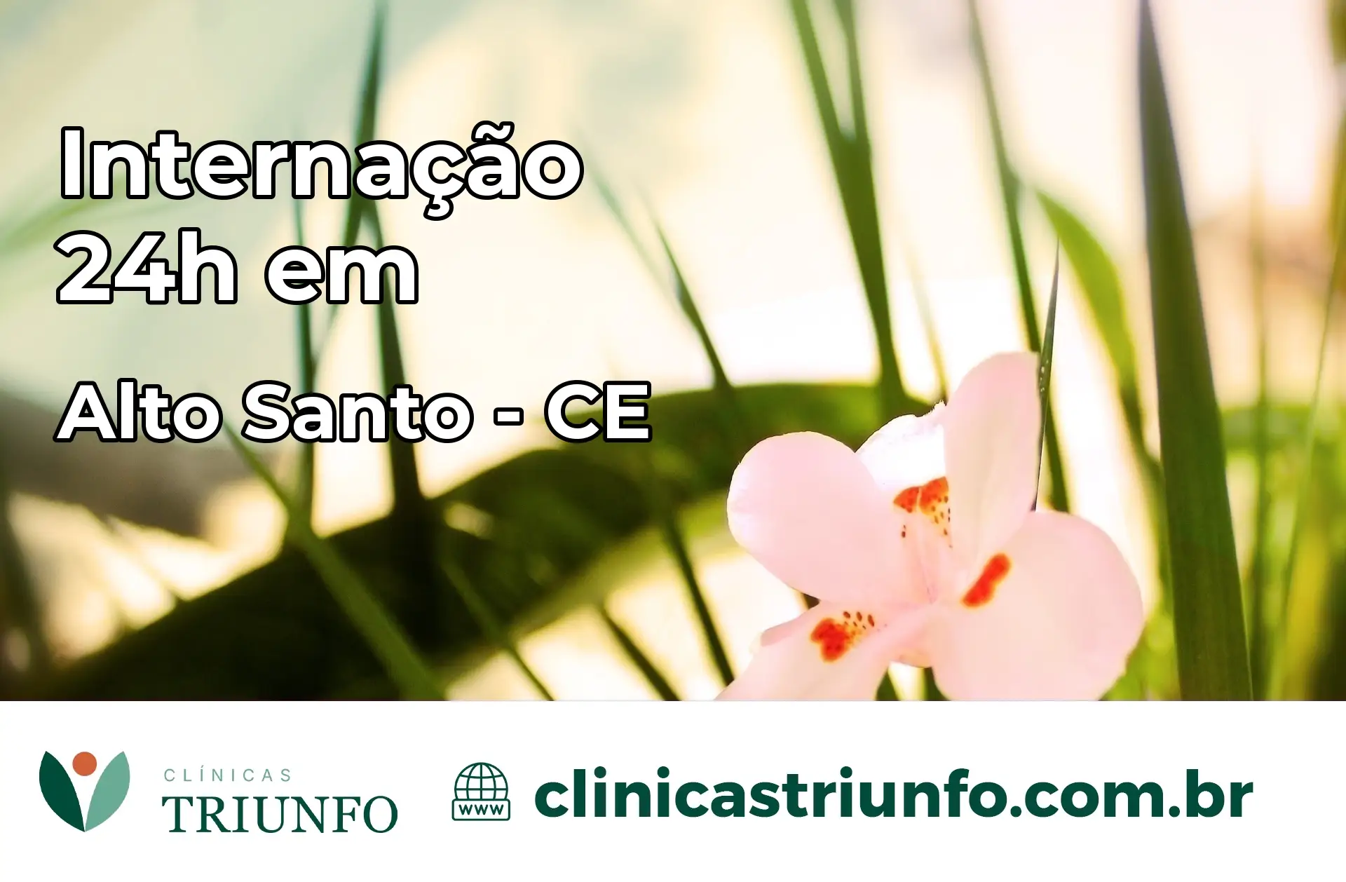 Internação 24 horas em Alto Santo – CE
