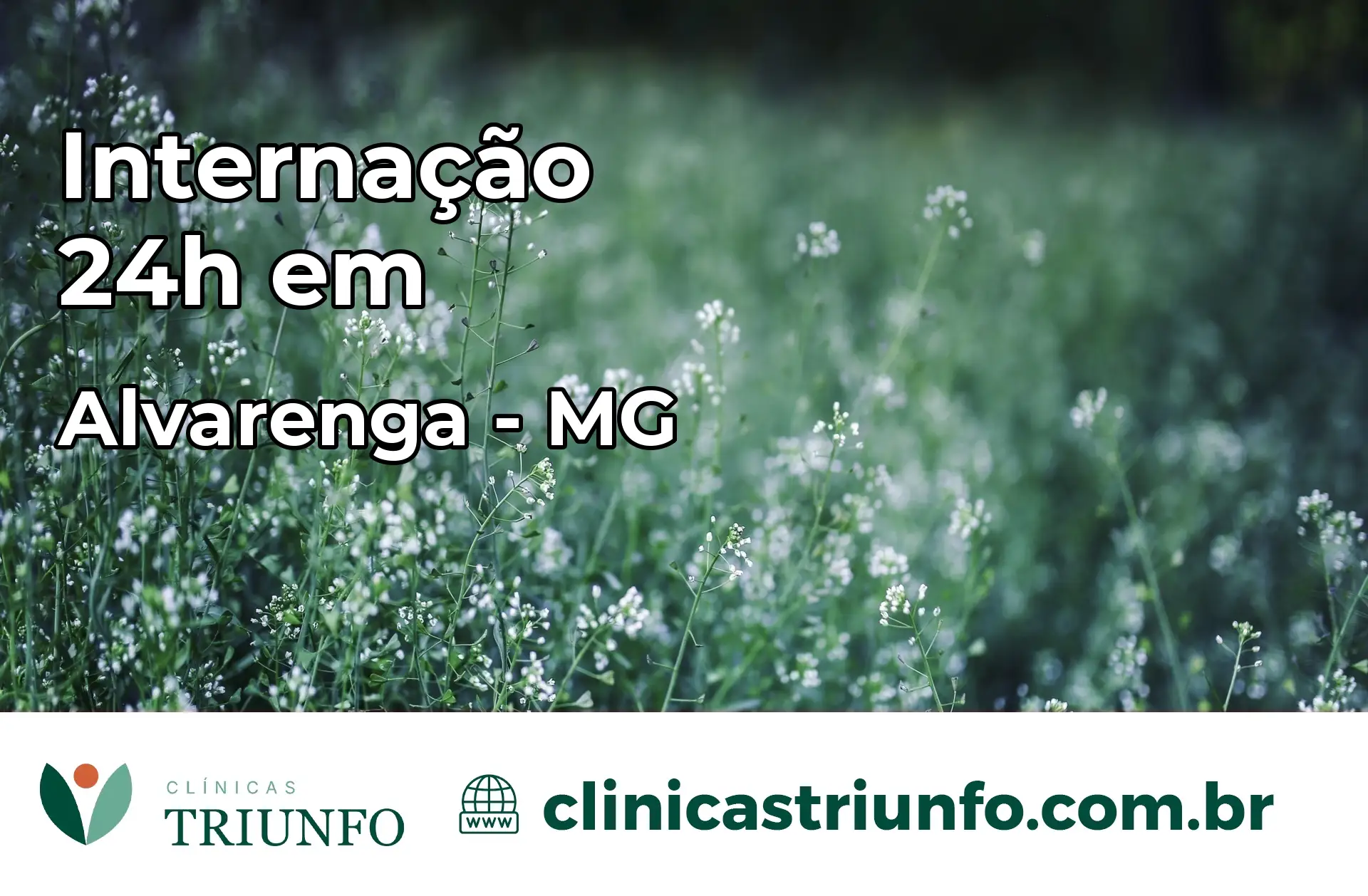 Internação 24 horas em Alvarenga – MG
