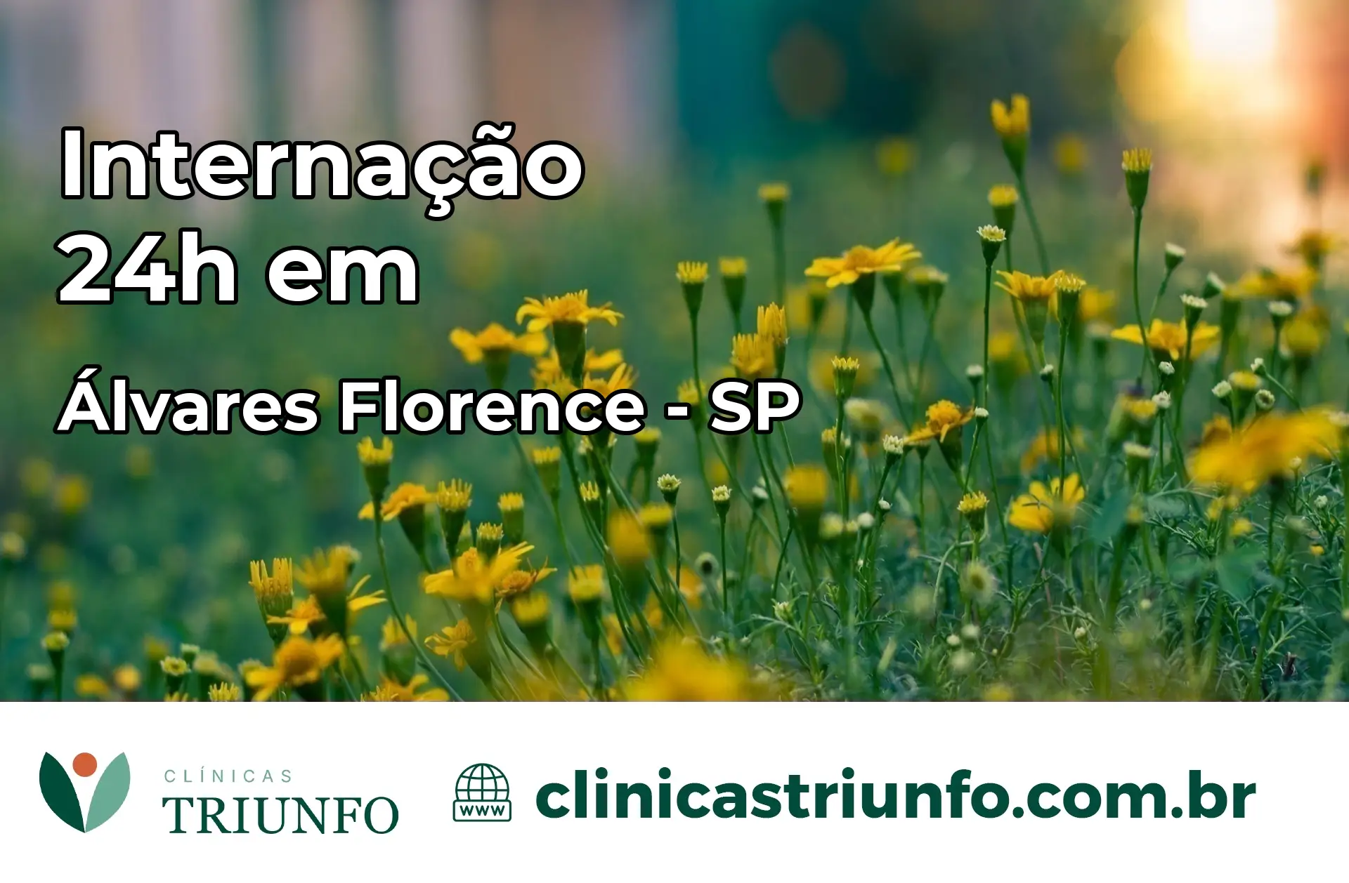Internação 24 horas em Álvares Florence – SP