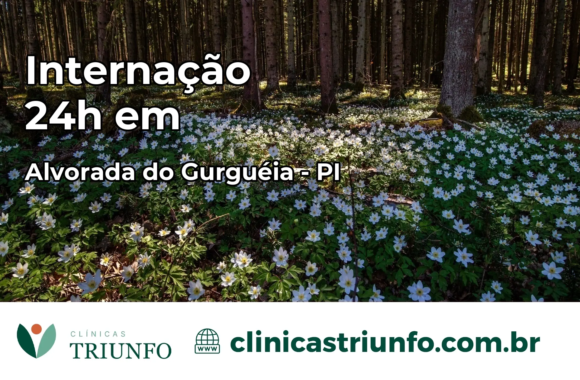 Internação 24 horas em Alvorada do Gurguéia – PI