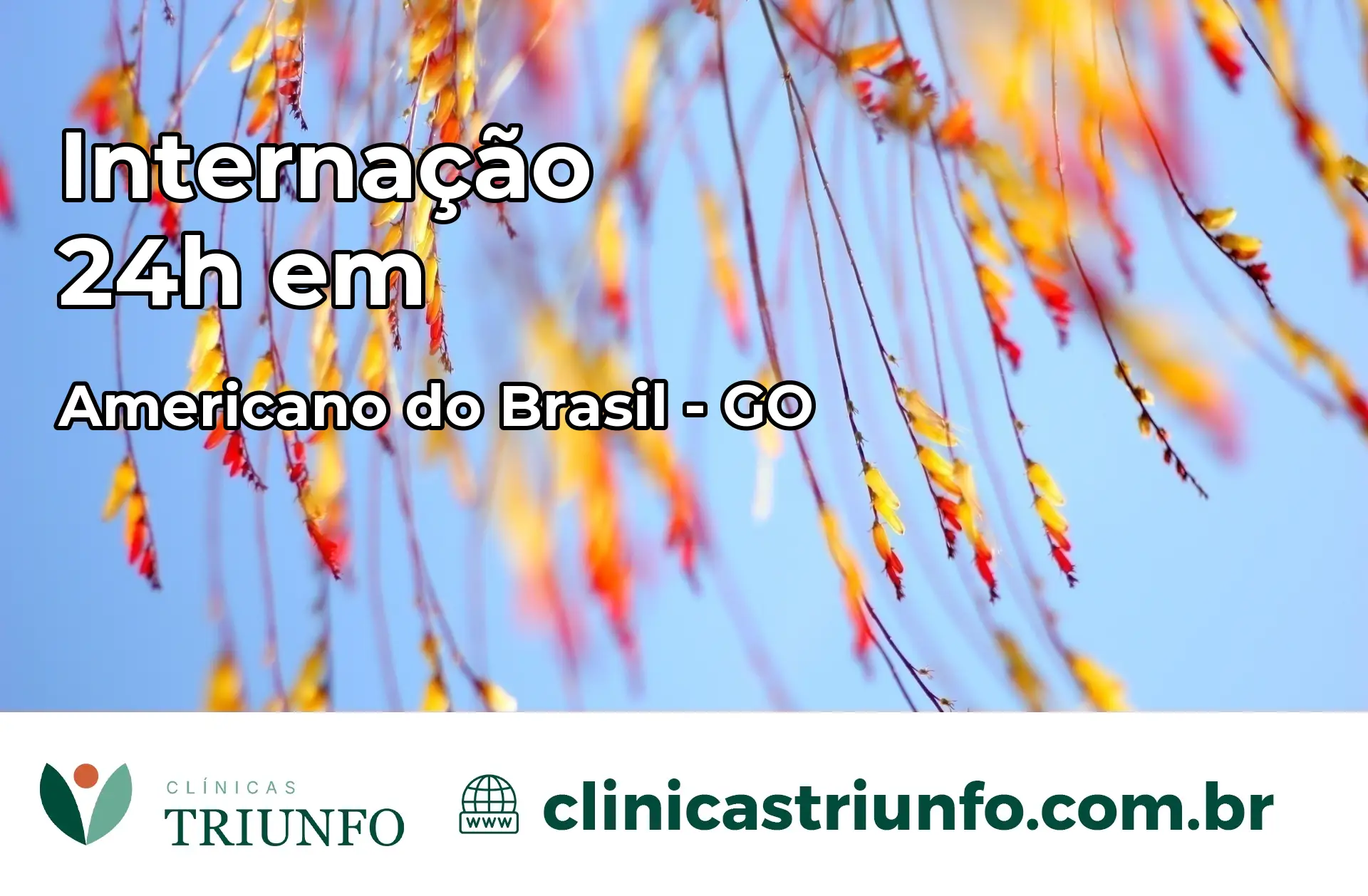 Internação 24 horas em Americano do Brasil – GO