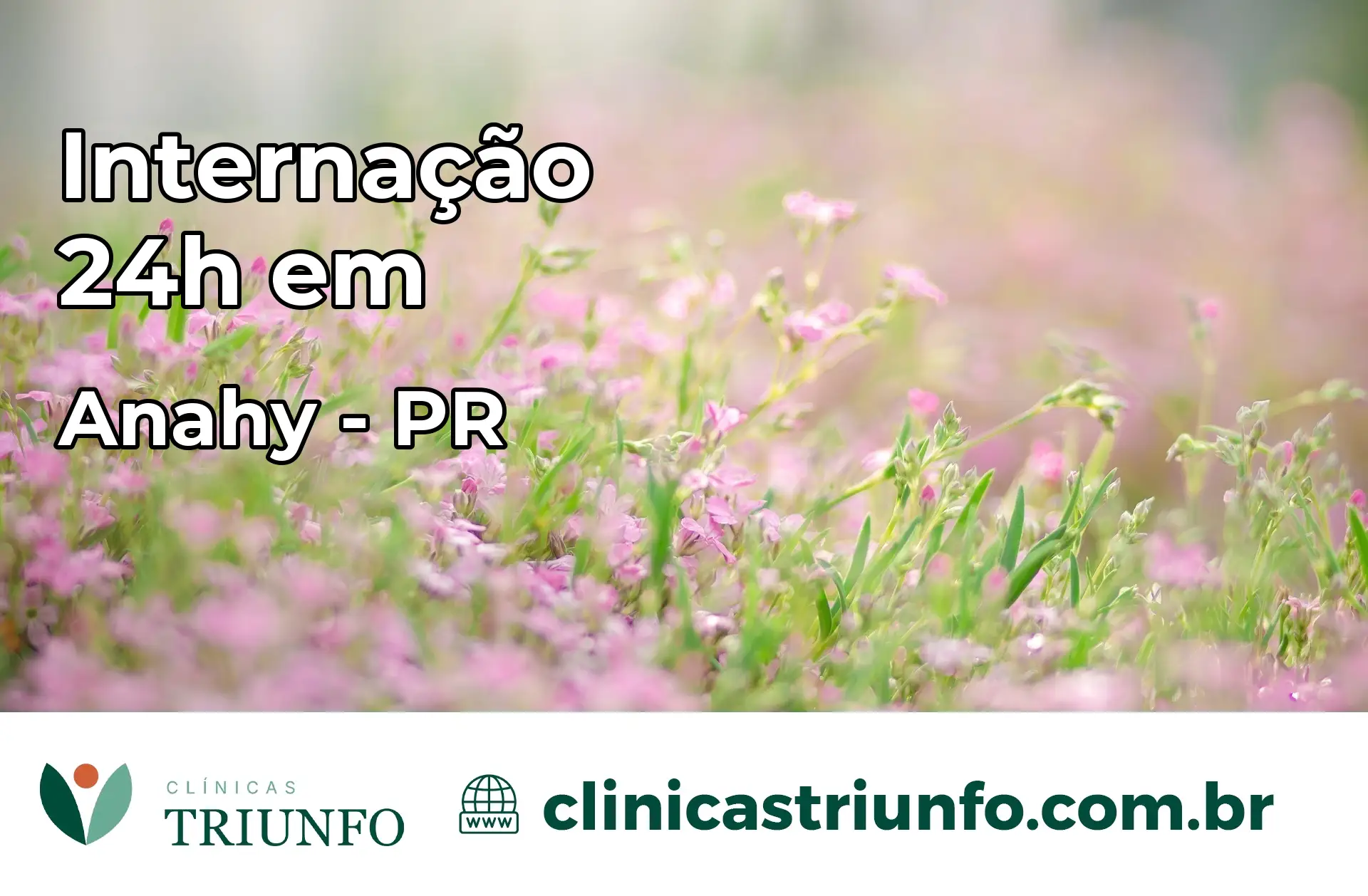 Internação 24 horas em Anahy – PR