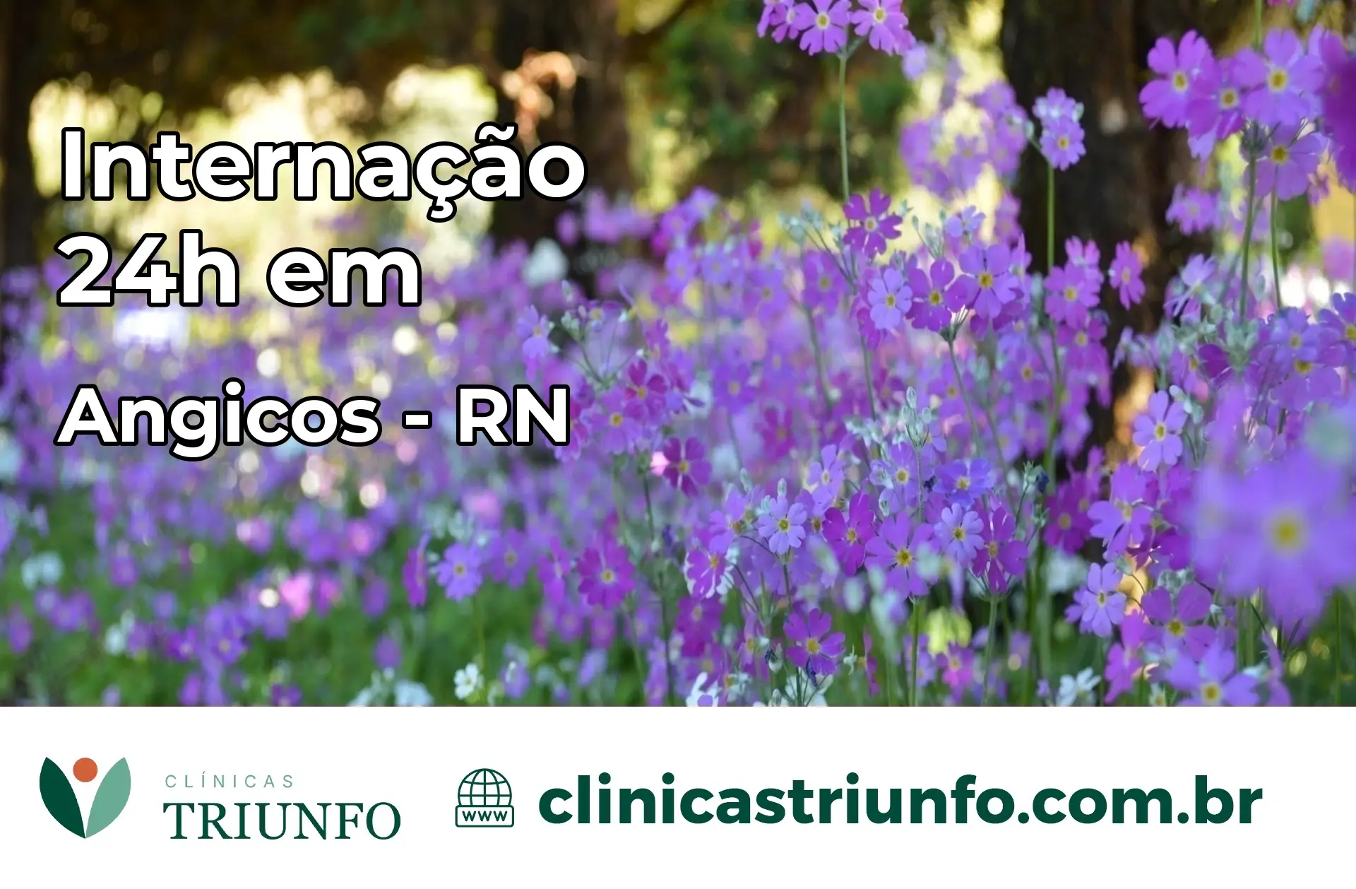 Internação 24 horas em Angicos – RN