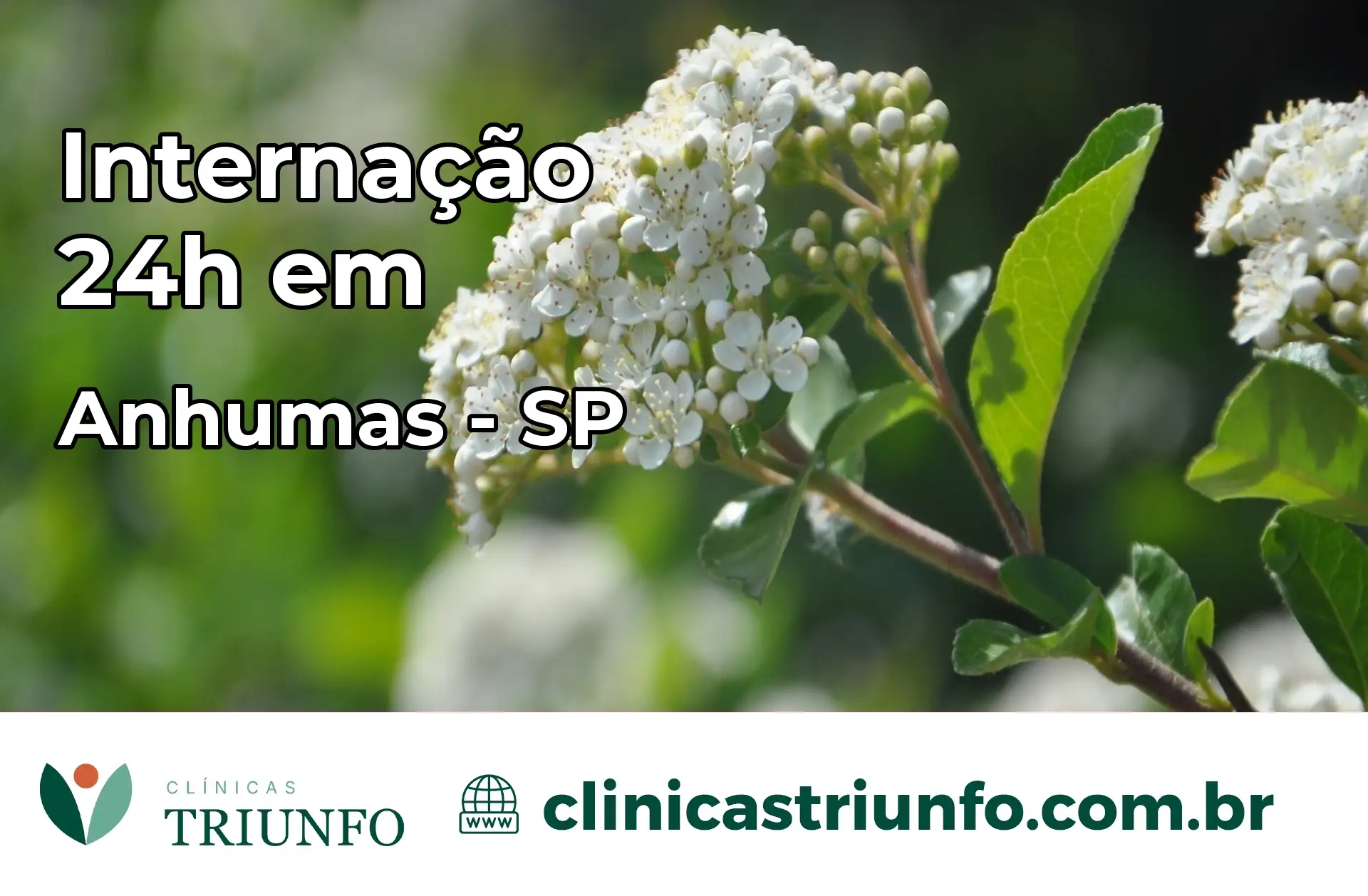 Internação 24 horas em Anhumas – SP