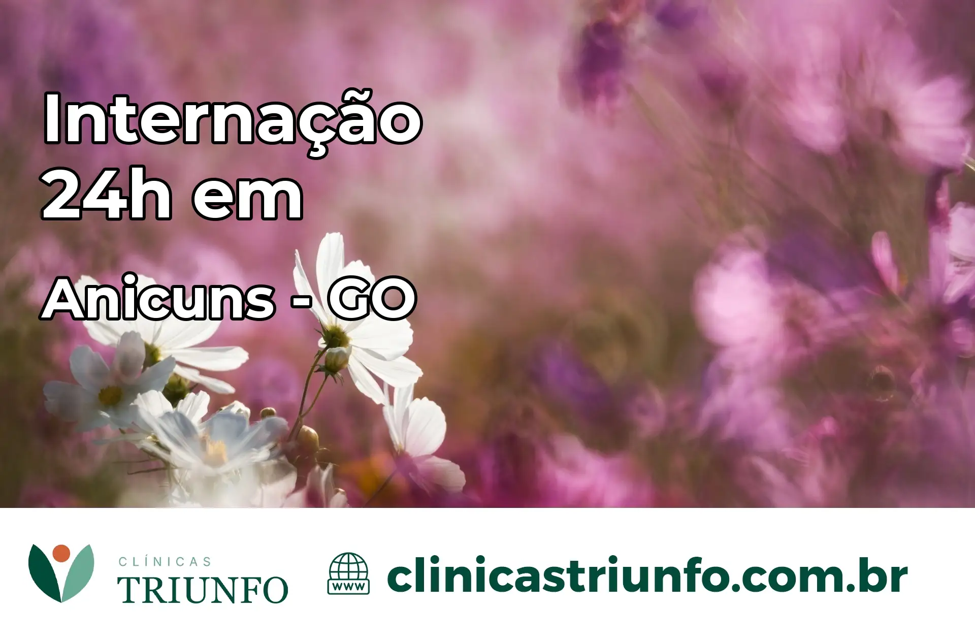 Internação 24 horas em Anicuns – GO
