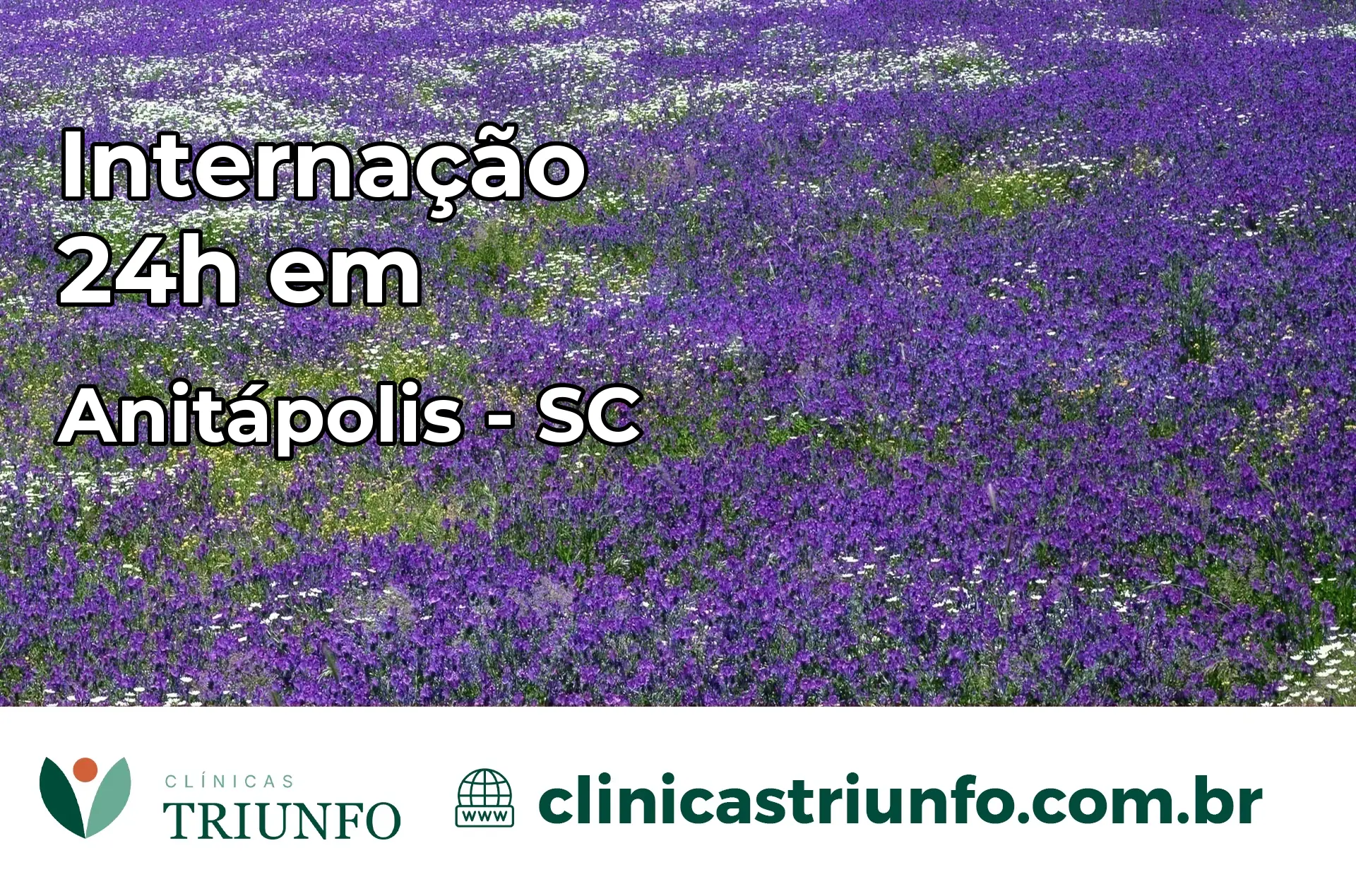 Internação 24 horas em Anitápolis – SC