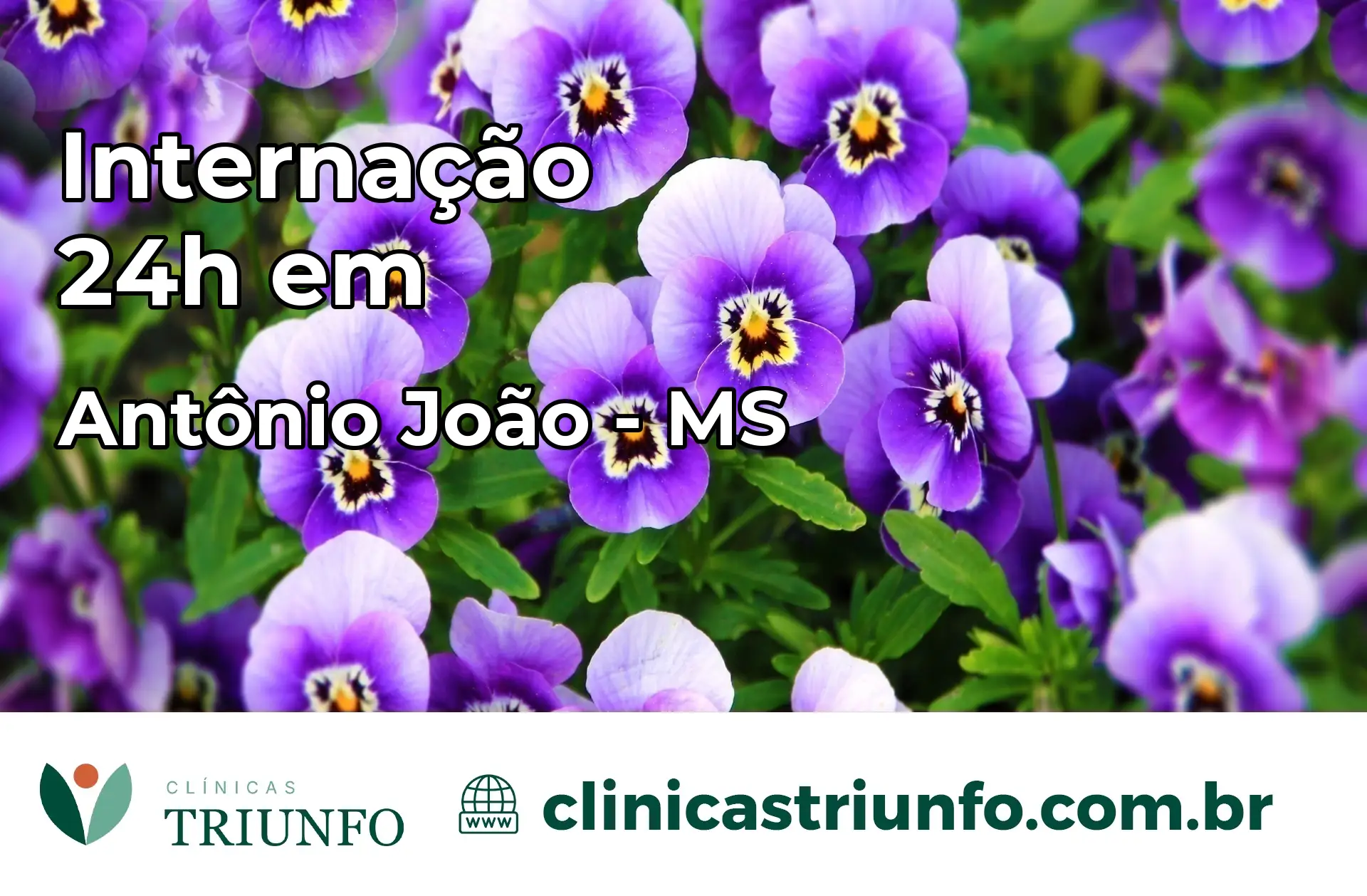 Internação 24 horas em Antônio João – MS