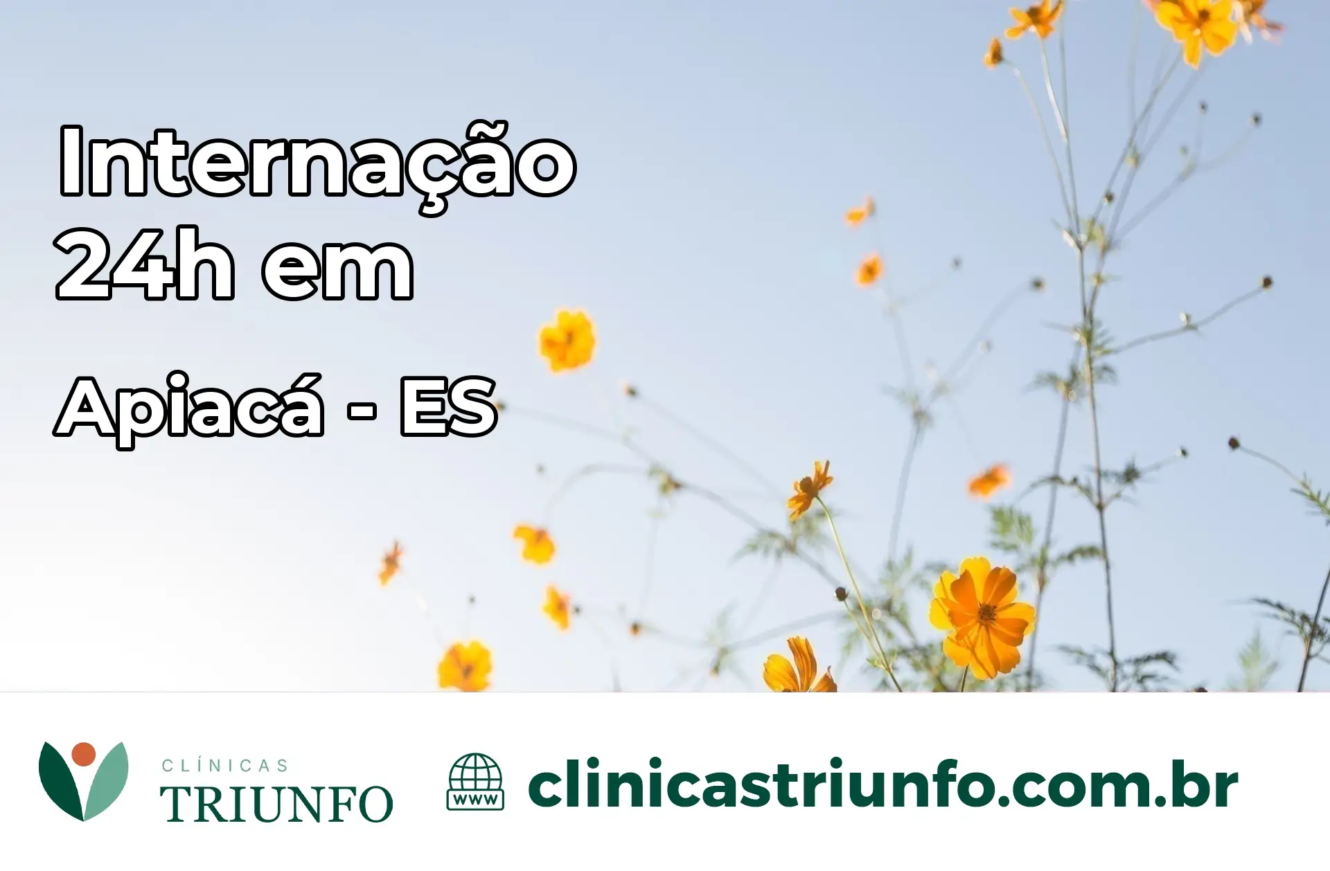 Internação 24 horas em Apiacá – ES
