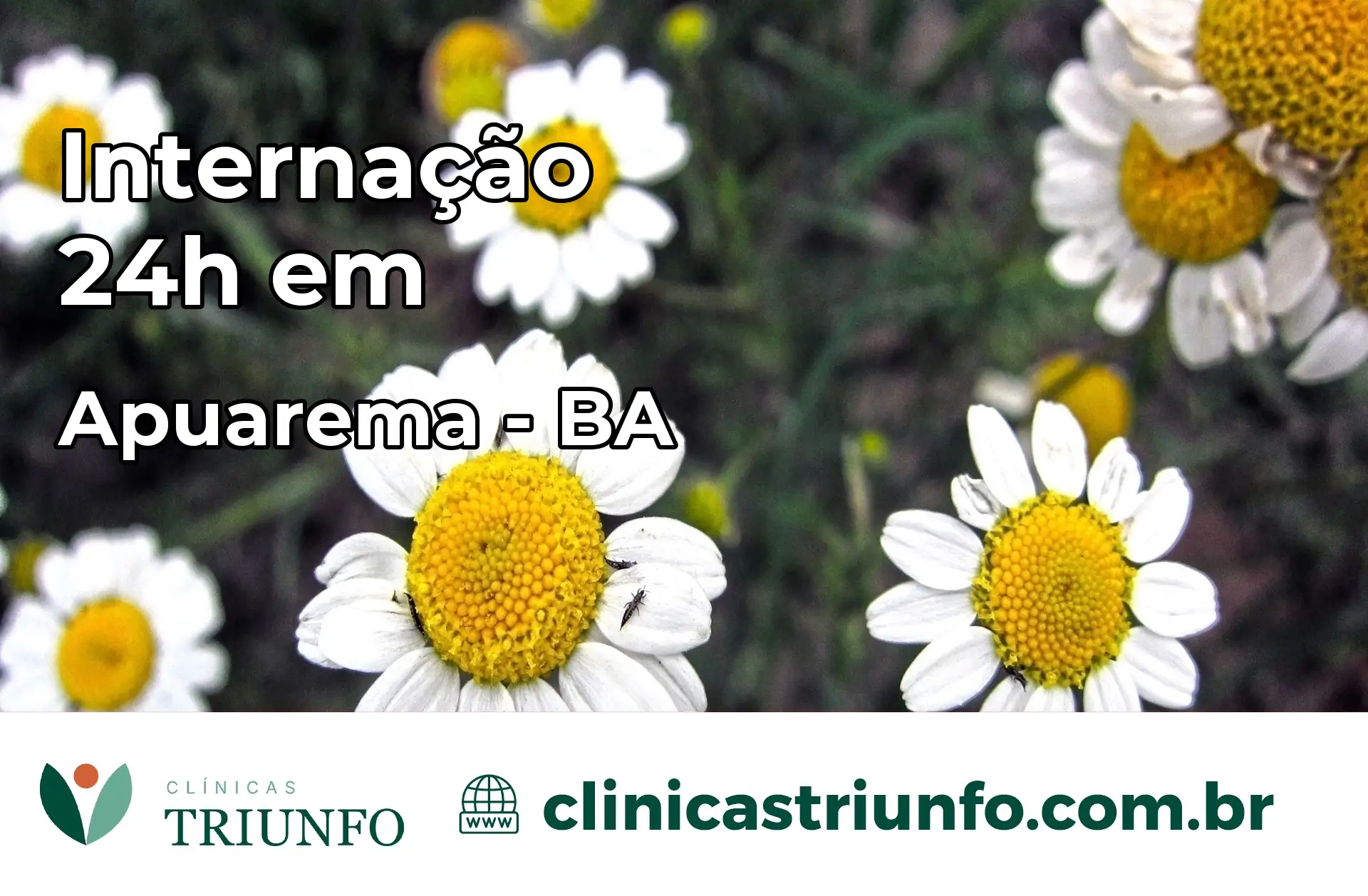 Internação 24 horas em Apuarema – BA