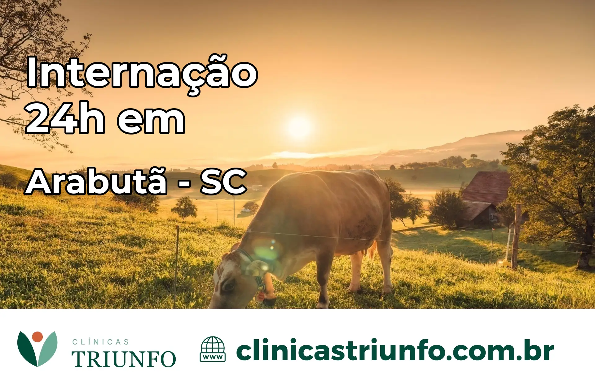 Internação 24 horas em Arabutã – SC