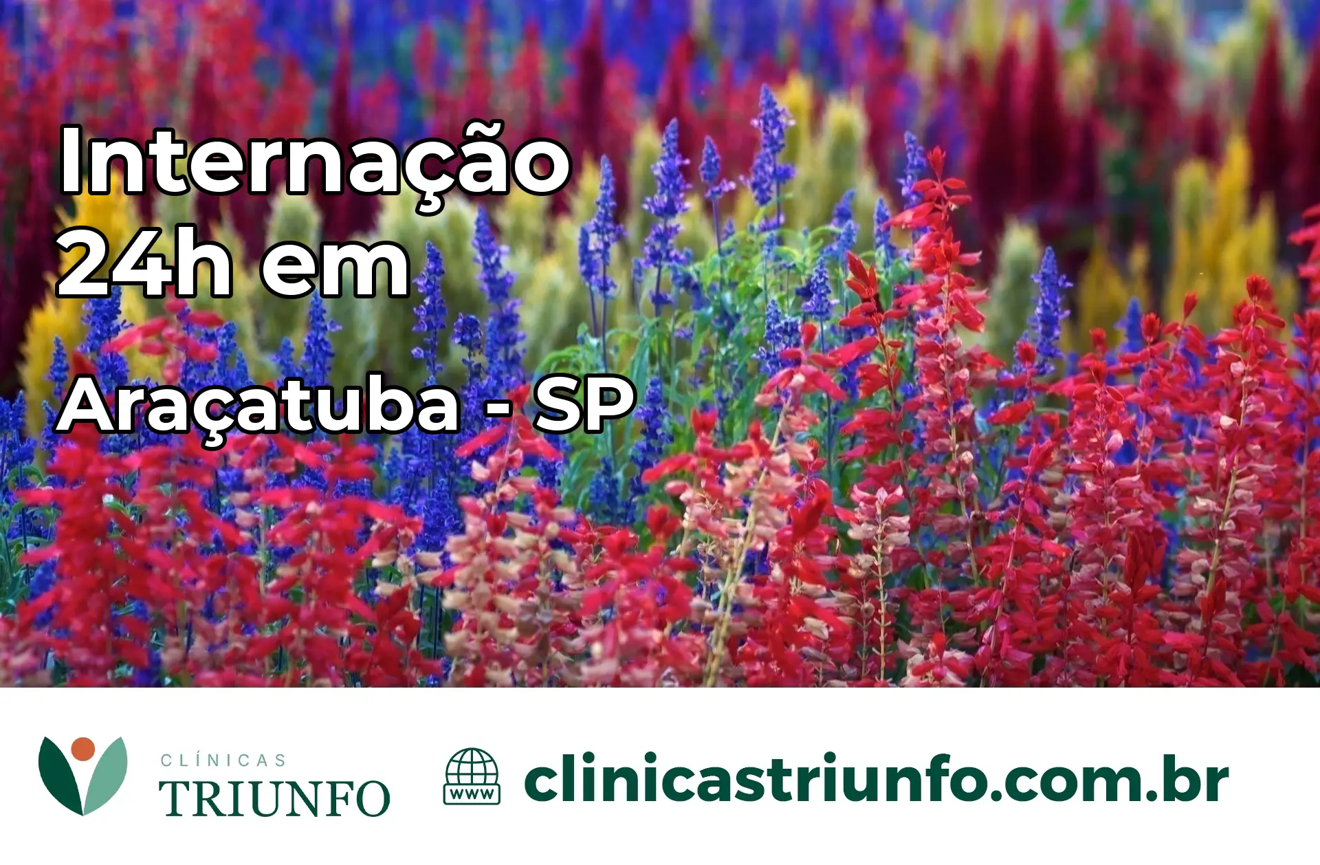 Internação 24 horas em Araçatuba – SP