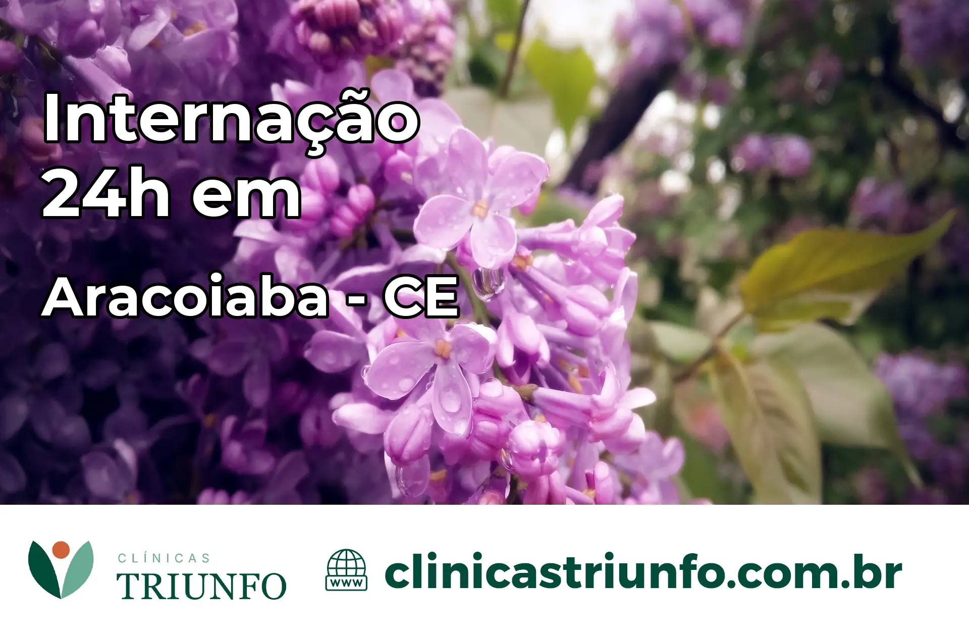 Internação 24 horas em Aracoiaba – CE