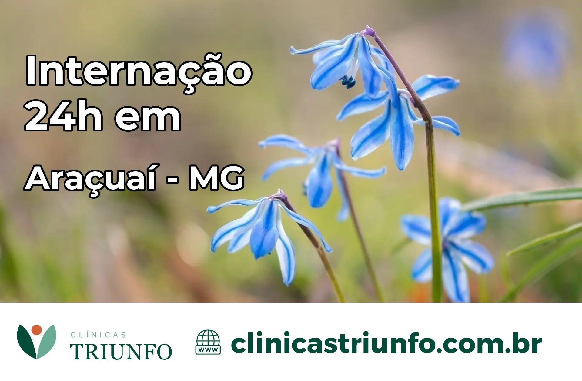 Internação 24 horas em Araçuaí – MG