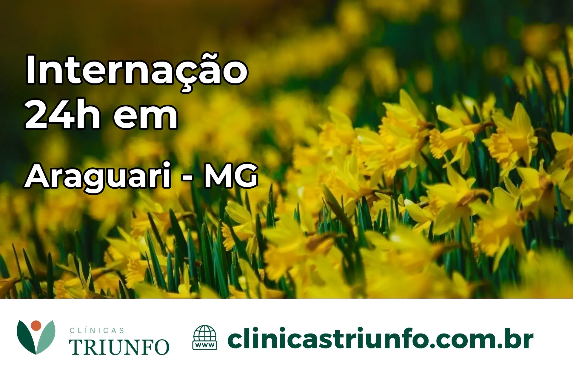 Internação 24 horas em Araguari – MG