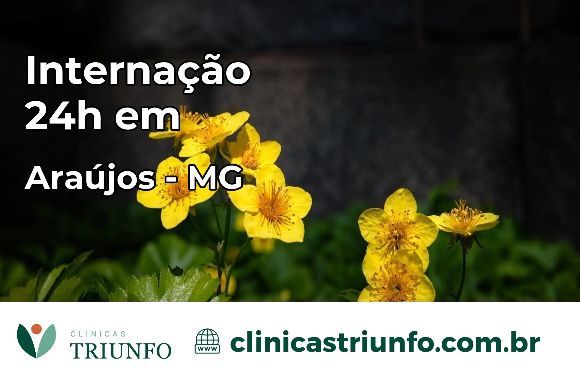 Internação 24 horas em Araújos – MG