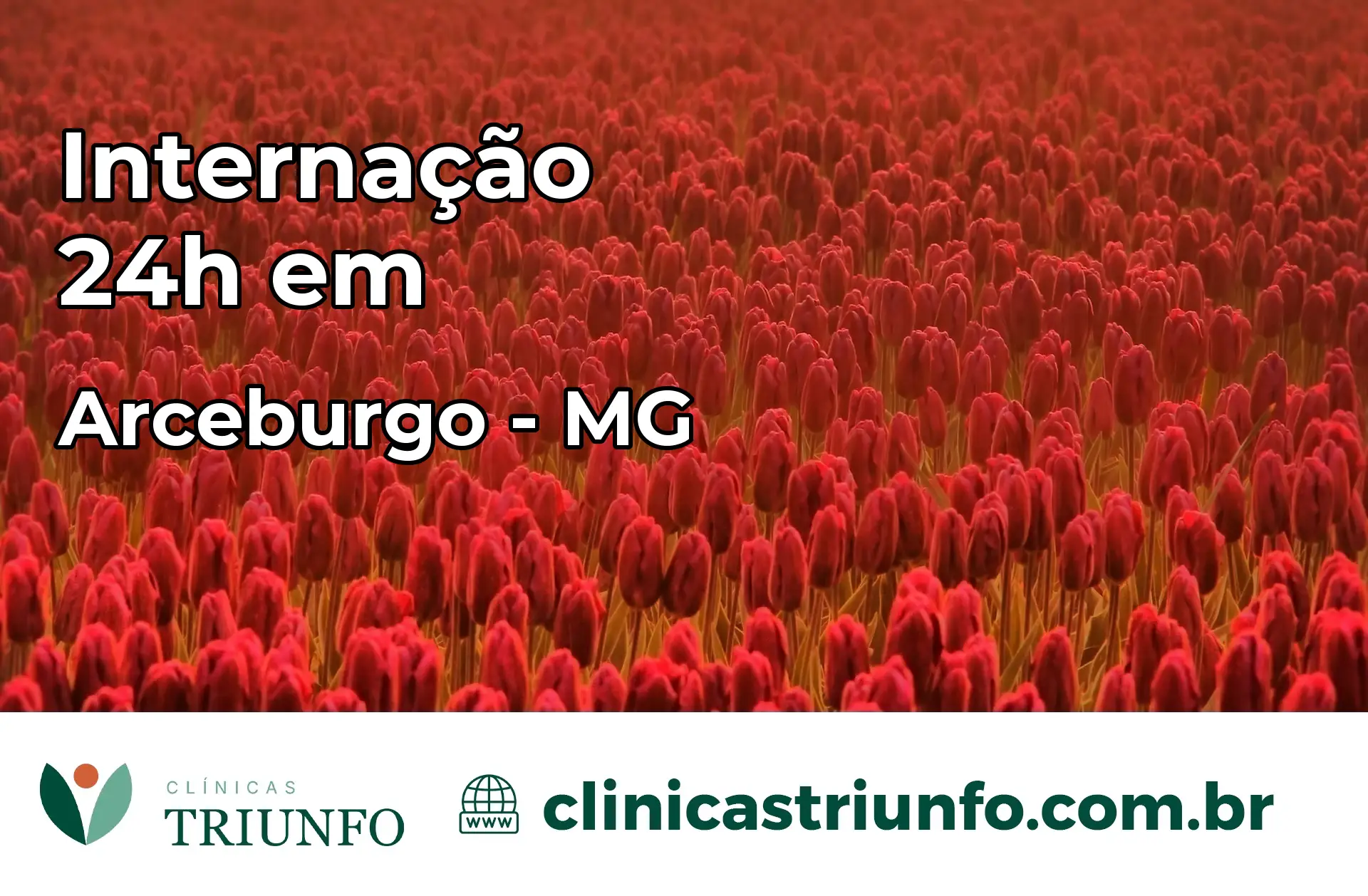 Internação 24 horas em Arceburgo – MG