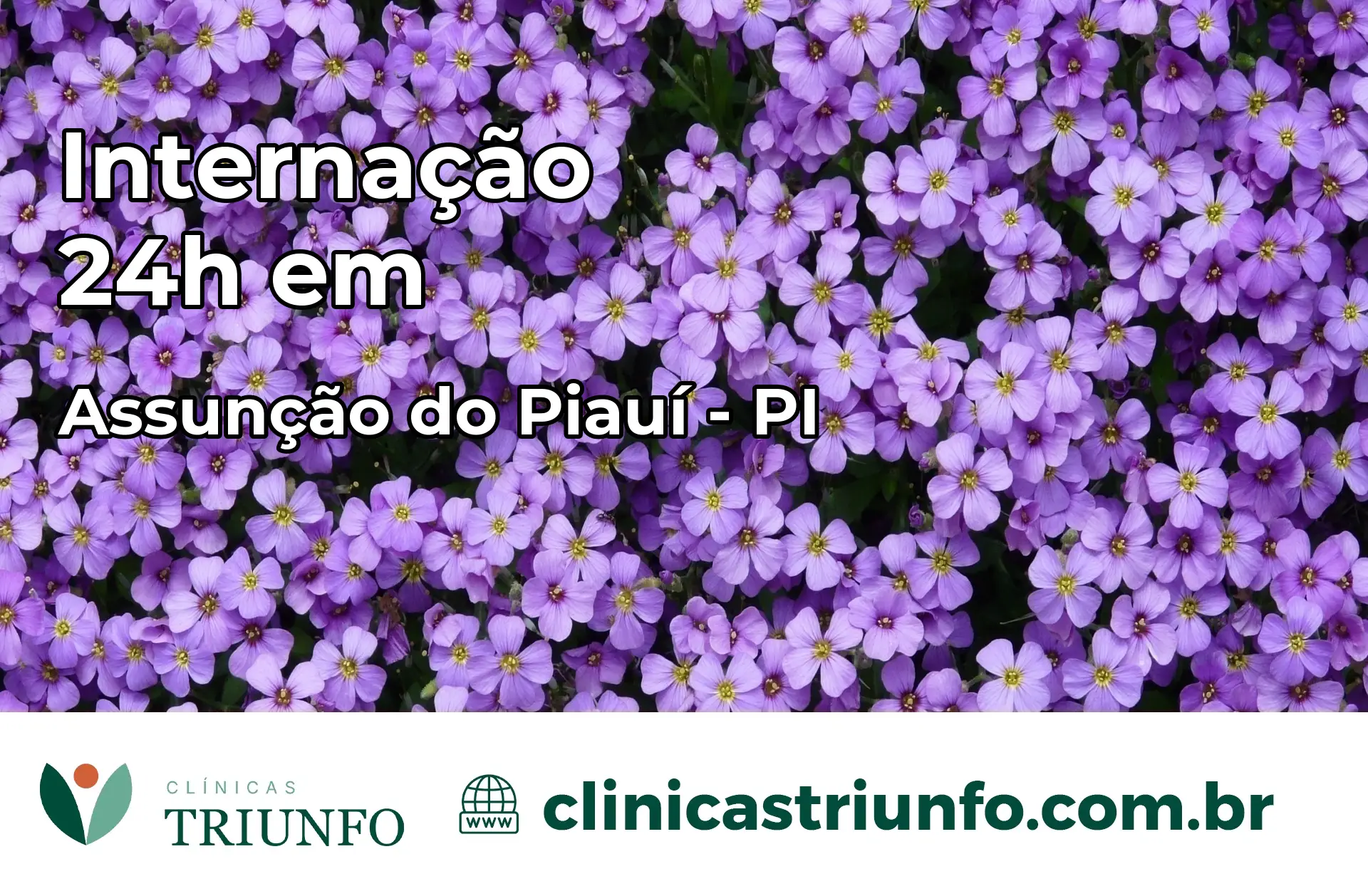 Internação 24 horas em Assunção do Piauí – PI