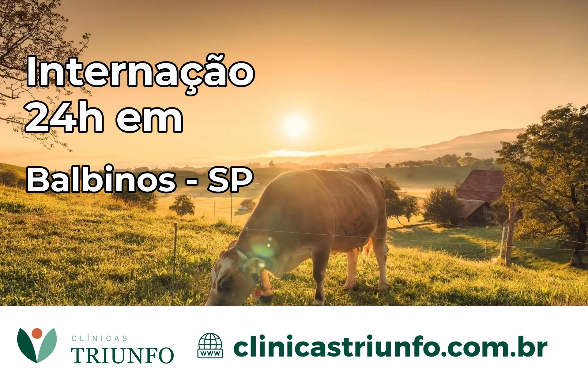 Internação 24 horas em Balbinos – SP