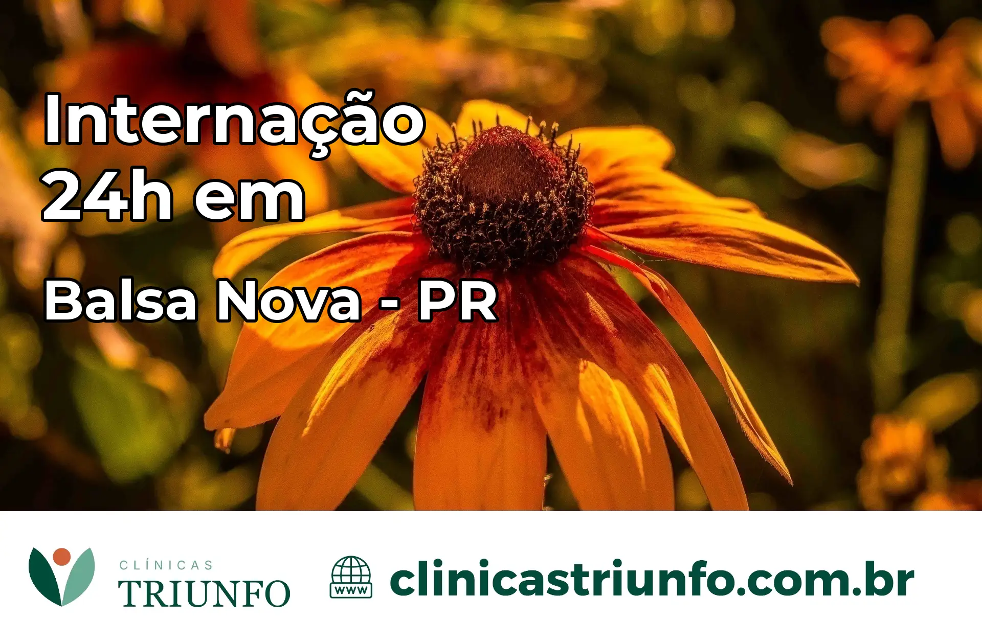 Internação 24 horas em Balsa Nova – PR