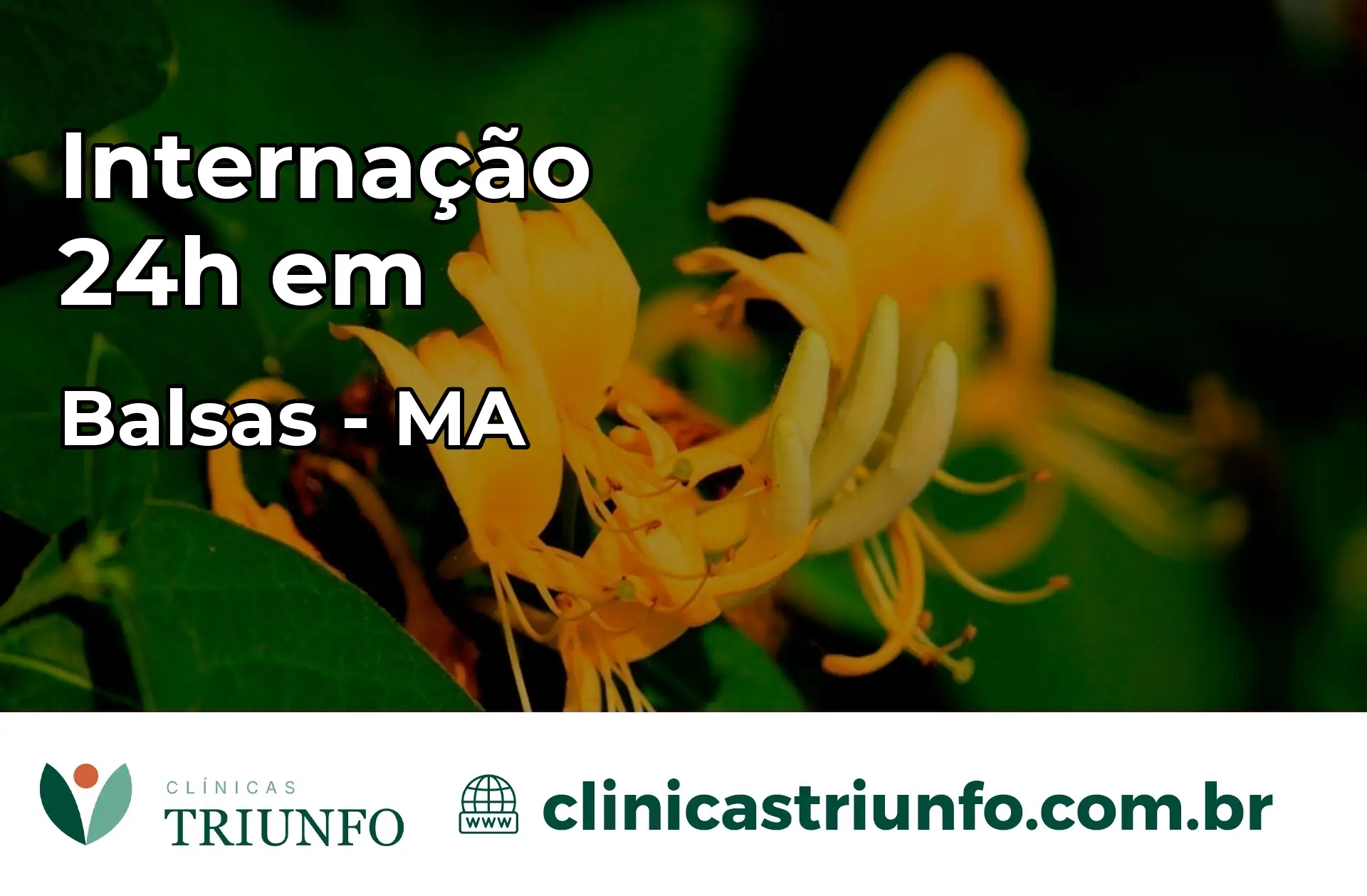 Internação 24 horas em Balsas – MA
