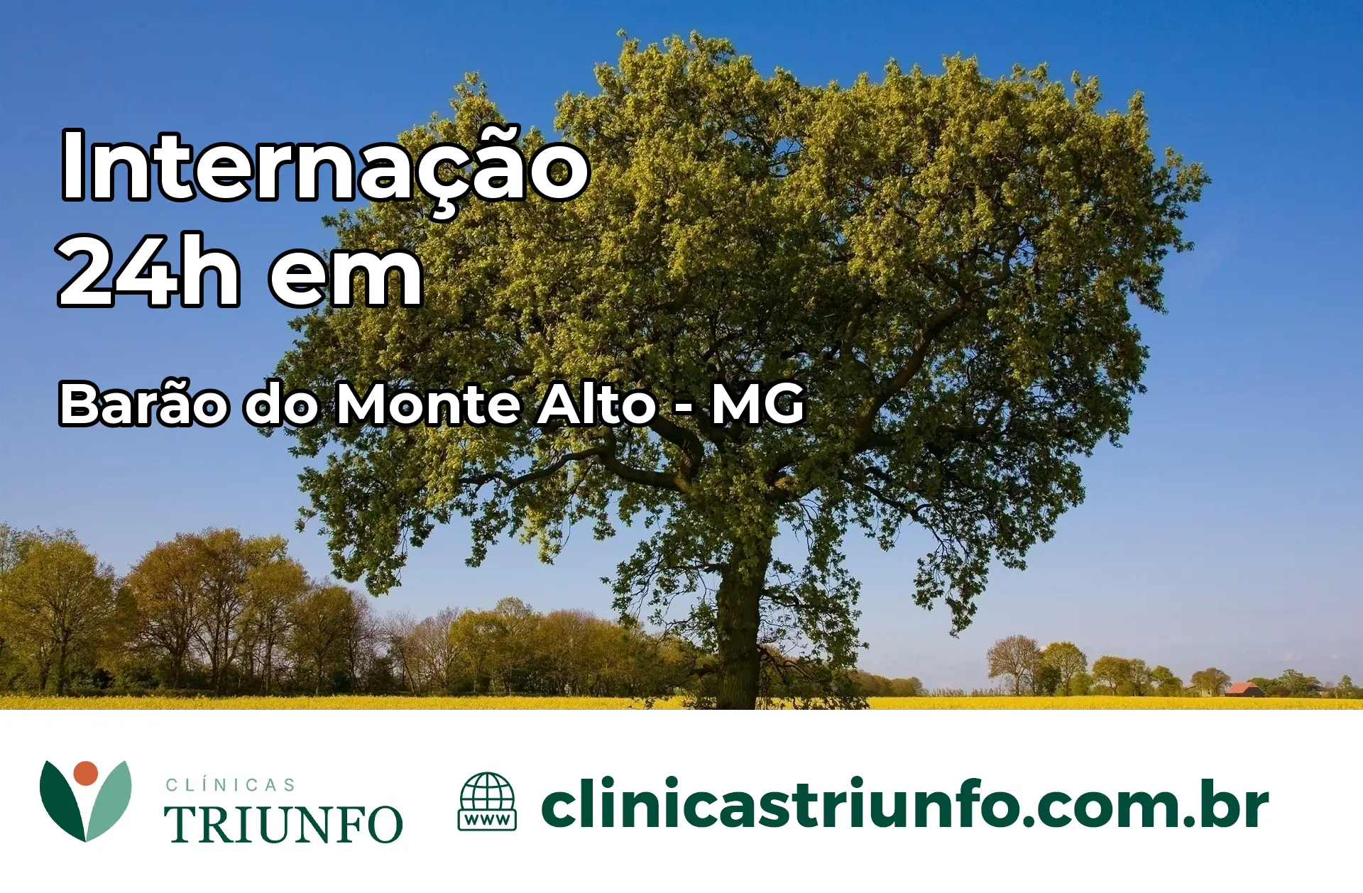 Internação 24 horas em Barão do Monte Alto – MG