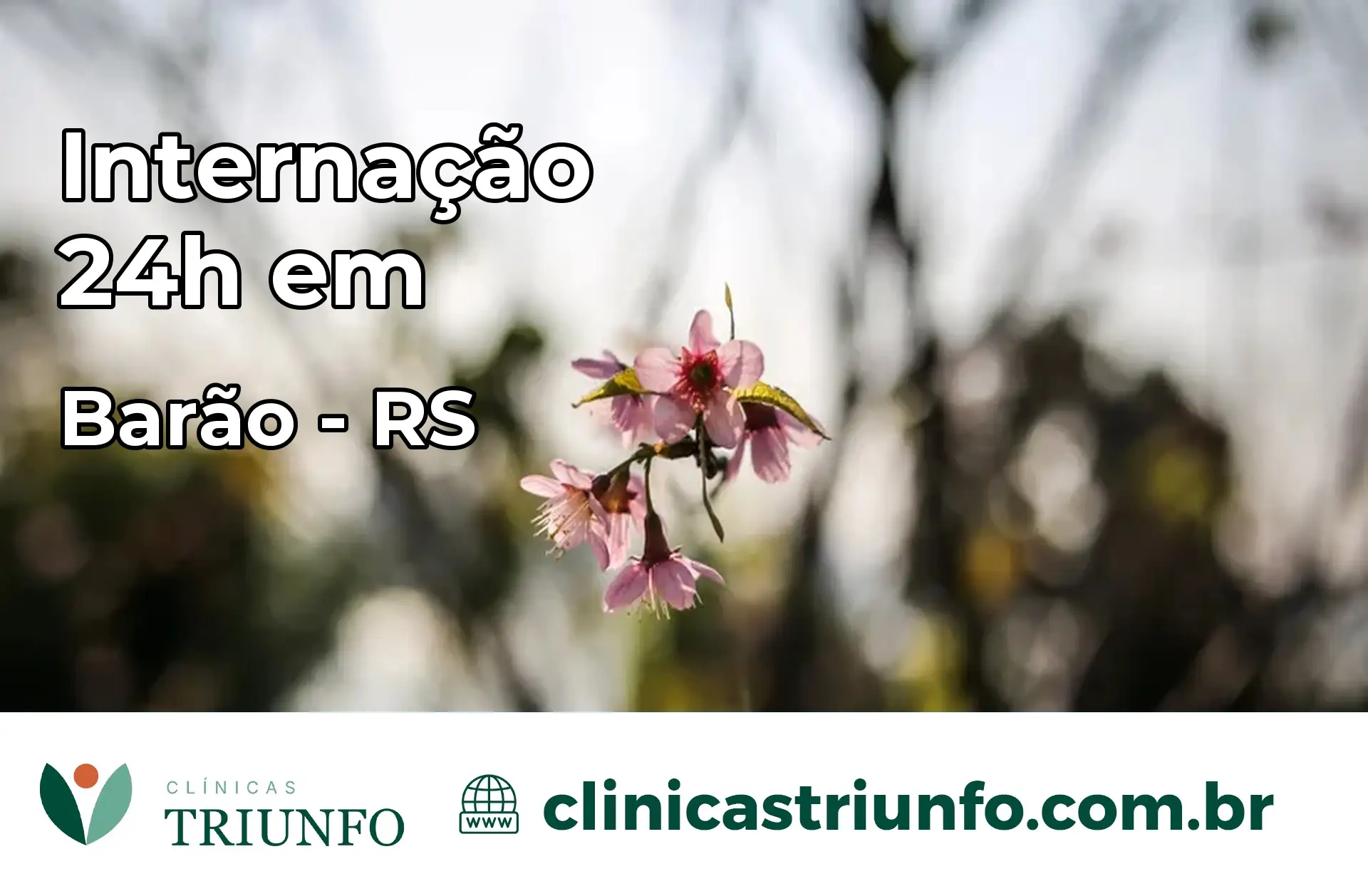 Internação 24 horas em Barão – RS