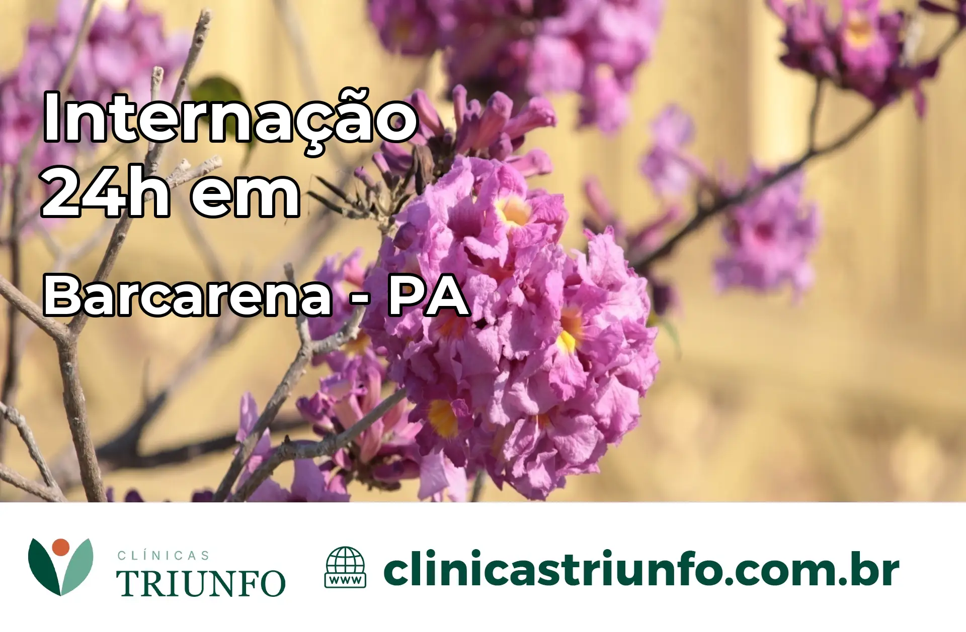 Internação 24 horas em Barcarena – PA
