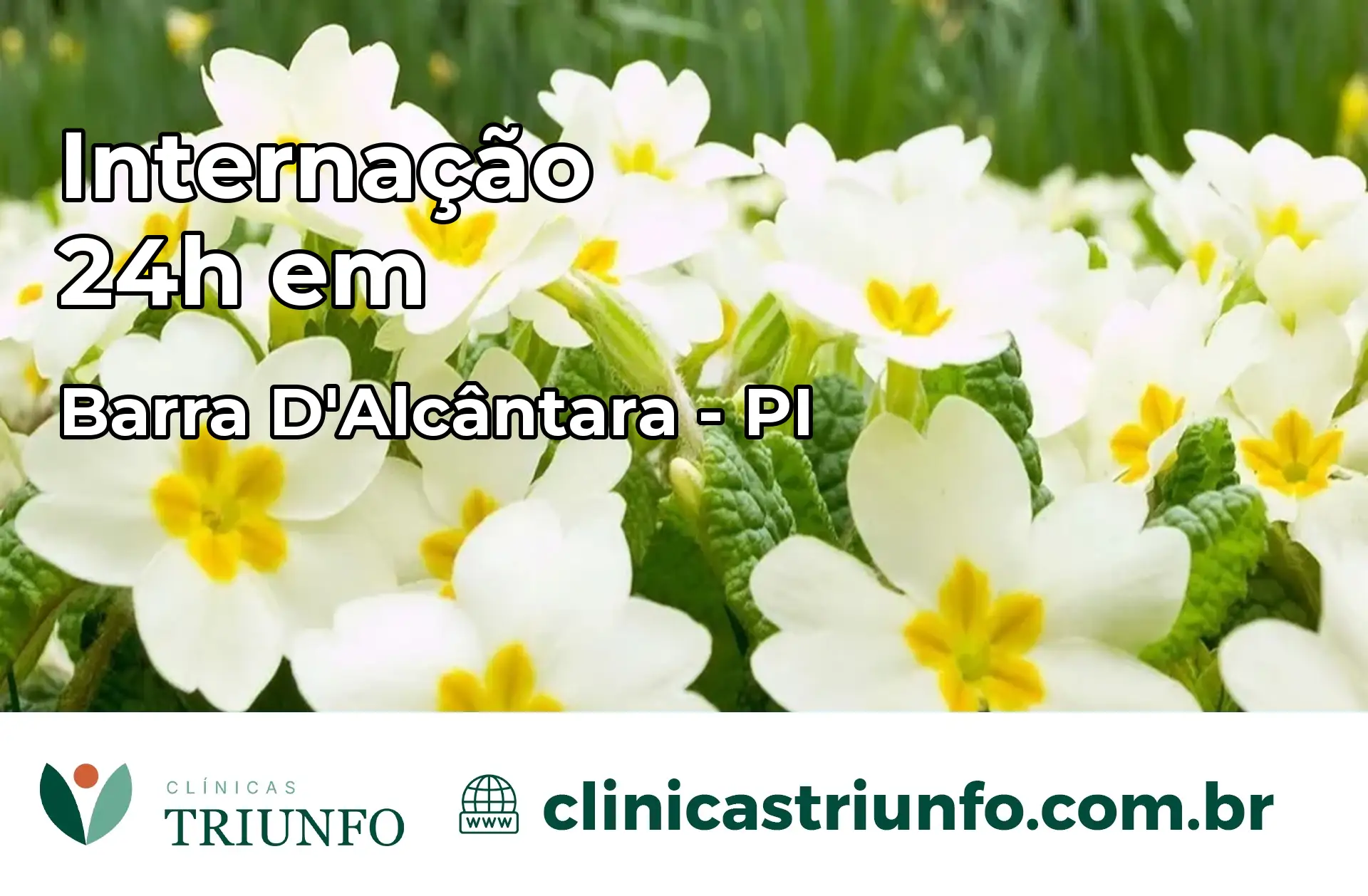 Internação 24 horas em Barra D'Alcântara – PI