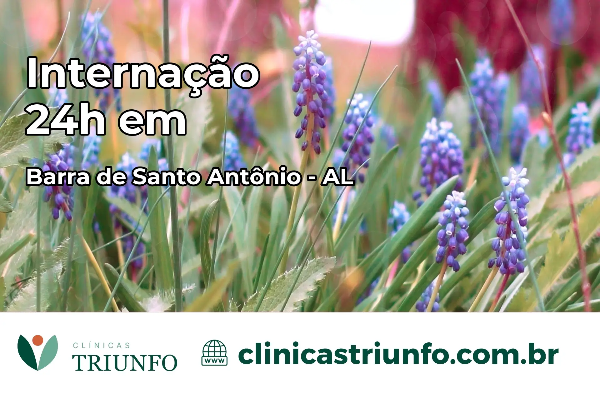 Internação 24 horas em Barra de Santo Antônio – AL