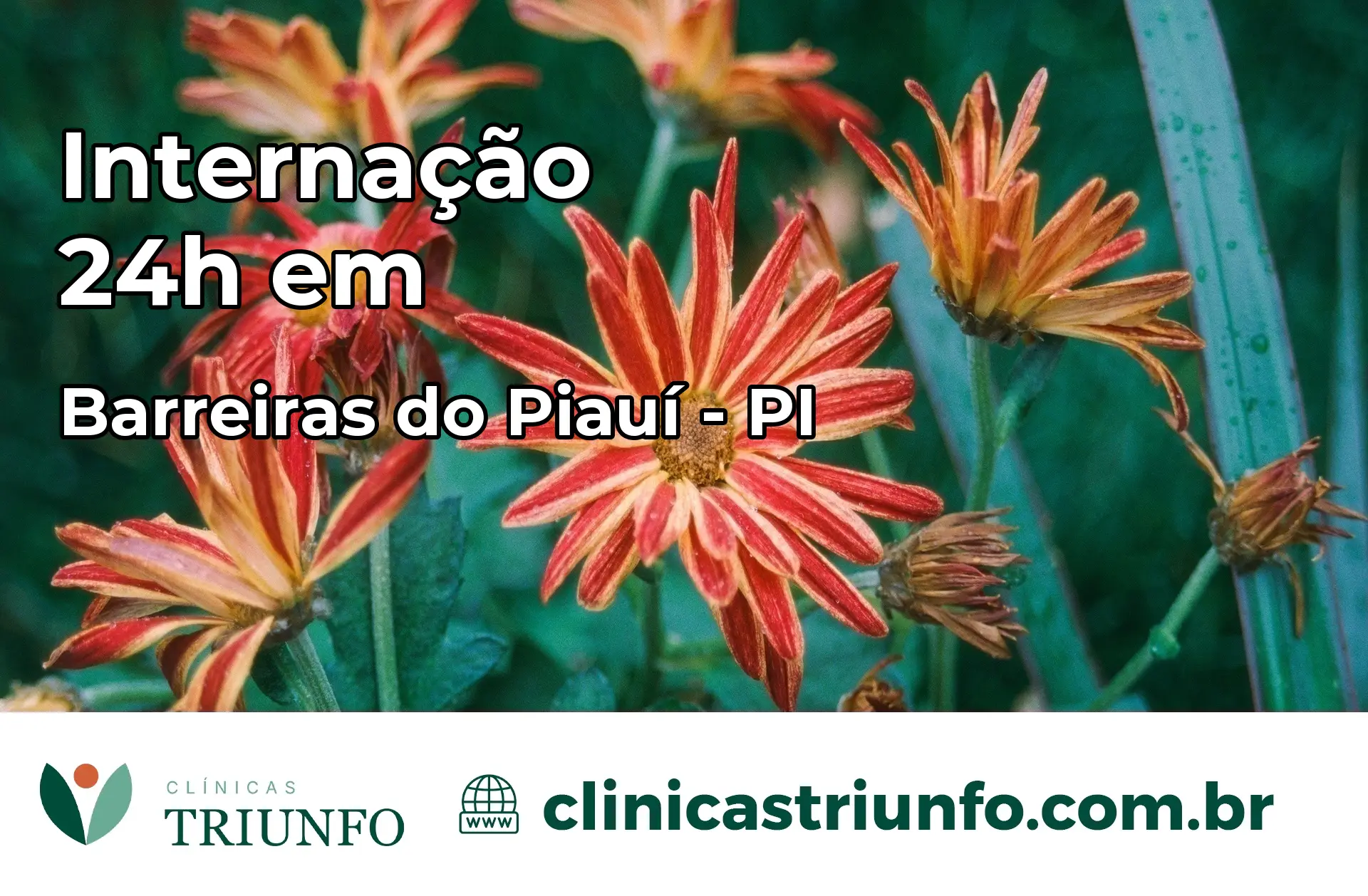 Internação 24 horas em Barreiras do Piauí – PI