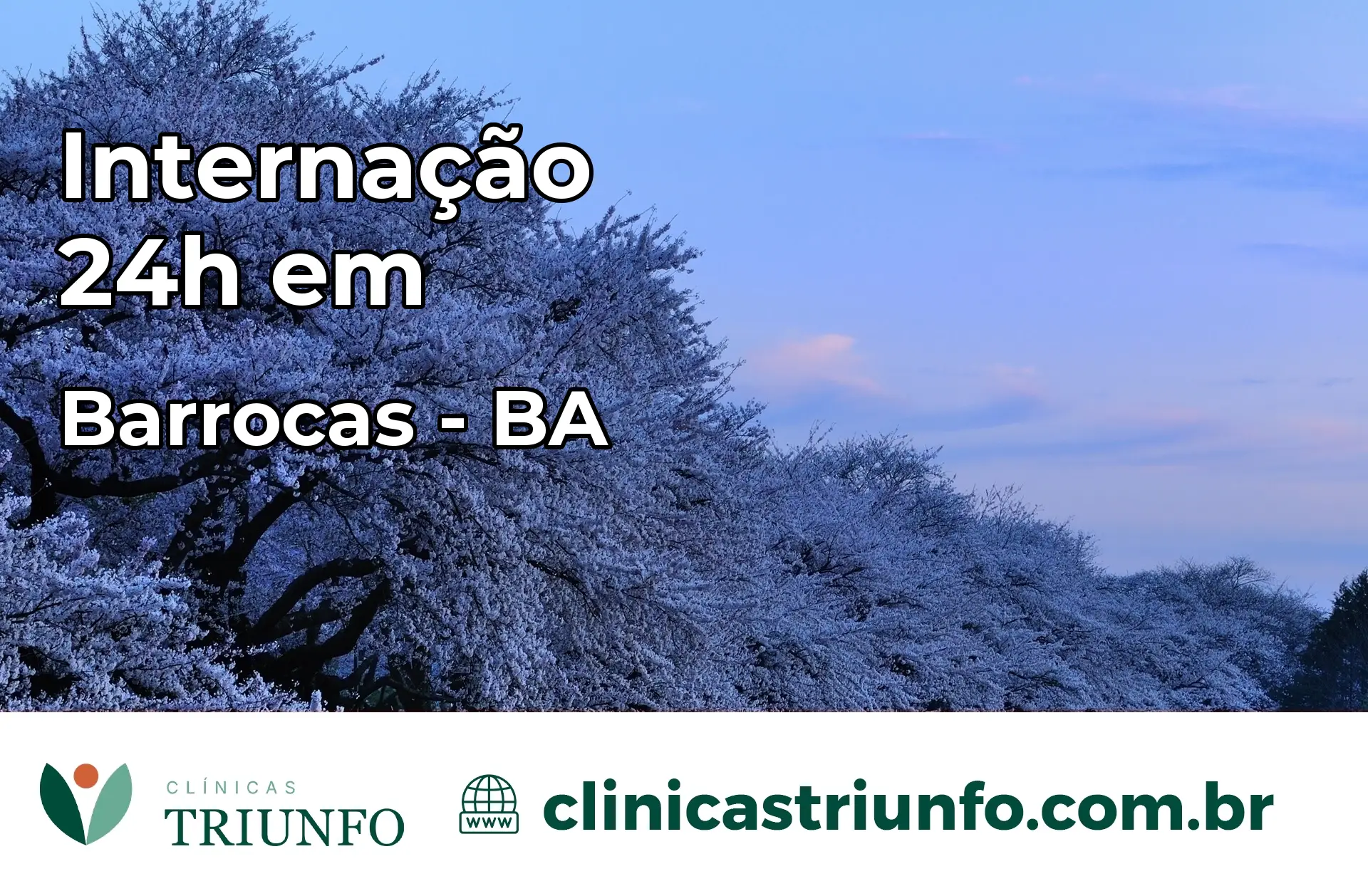 Internação 24 horas em Barrocas – BA
