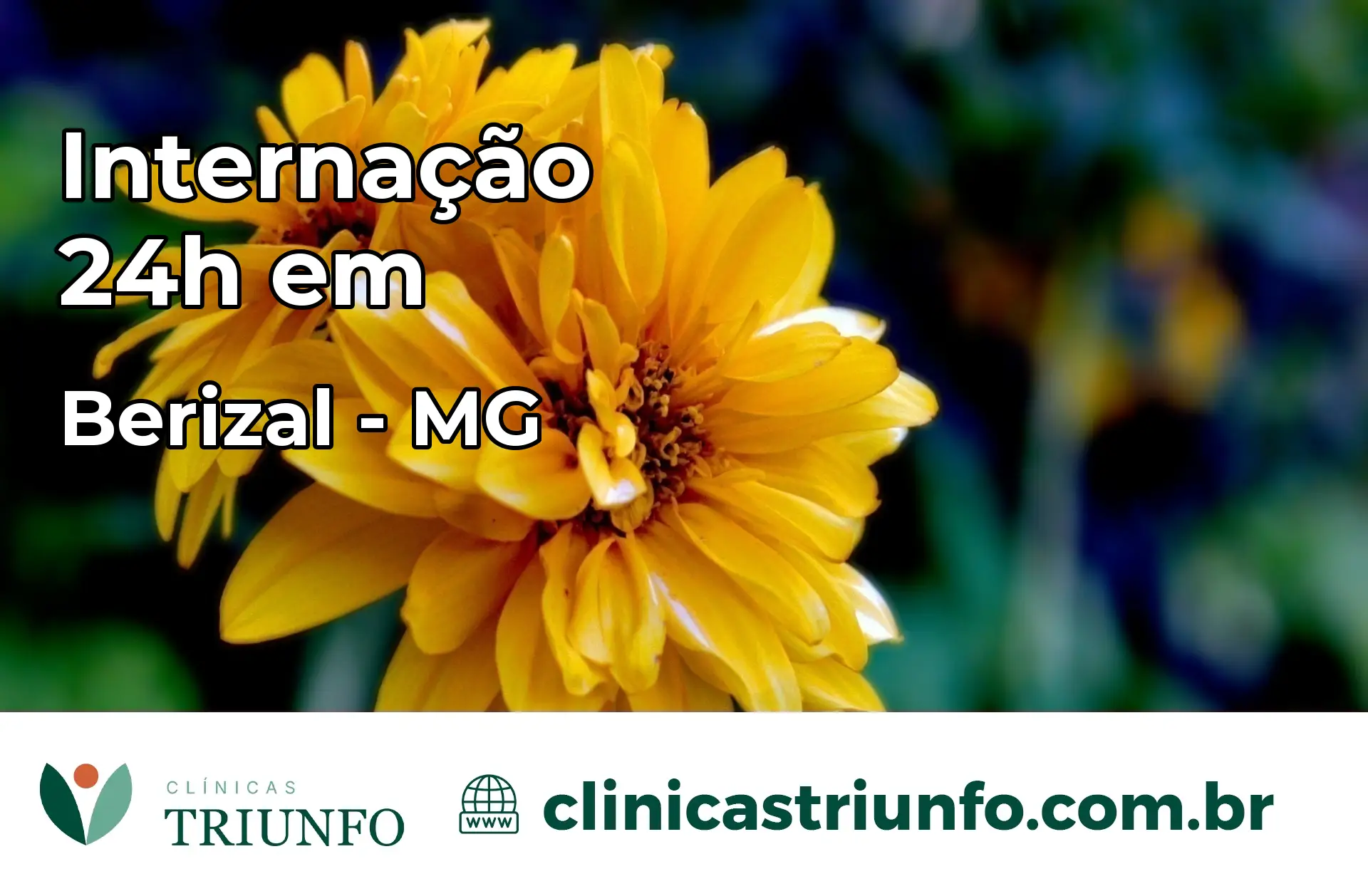 Internação 24 horas em Berizal – MG