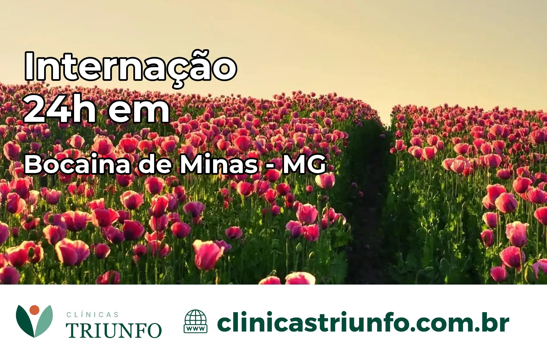 Internação 24 horas em Bocaina de Minas – MG