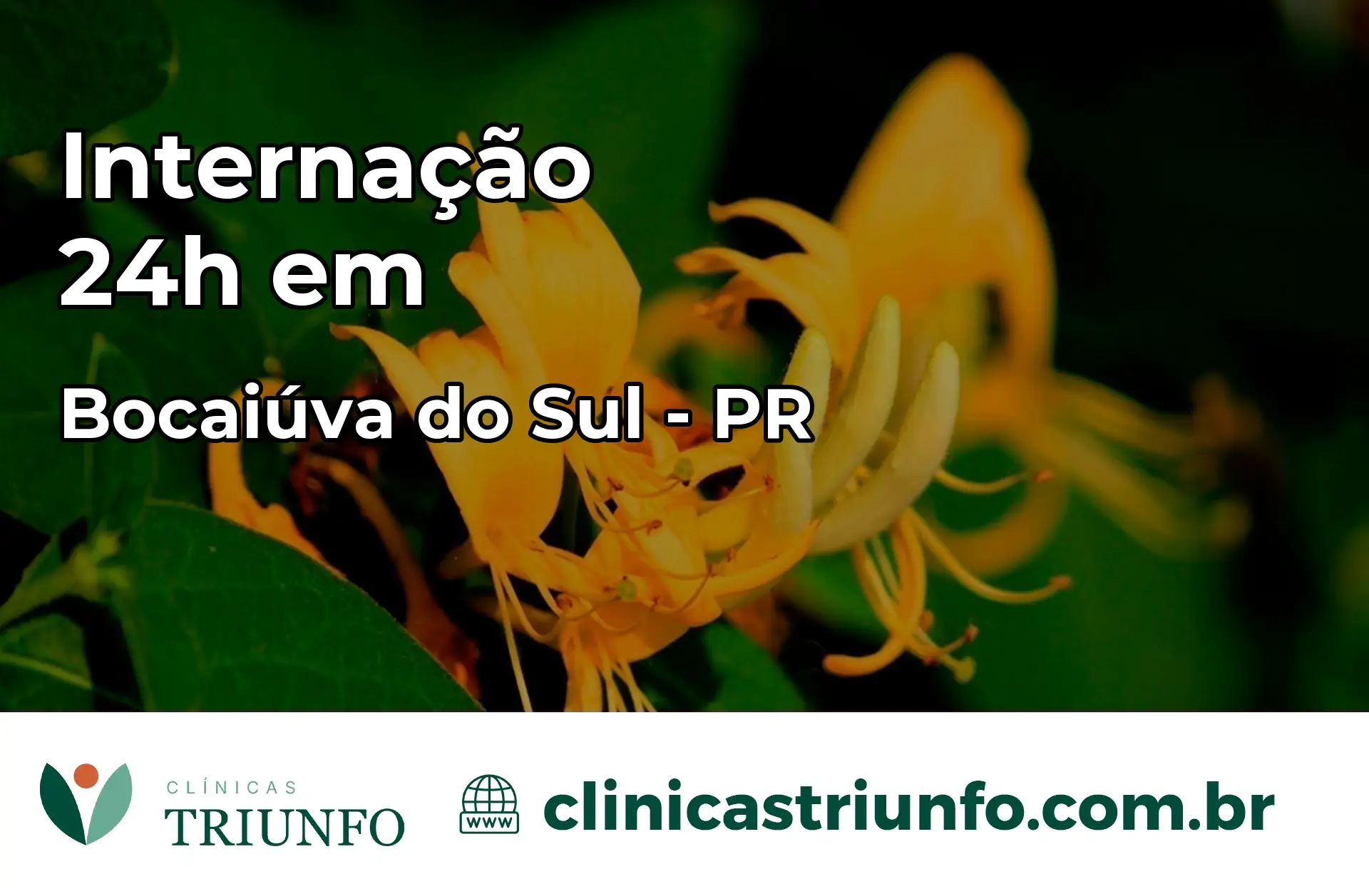 Internação 24 horas em Bocaiúva do Sul – PR