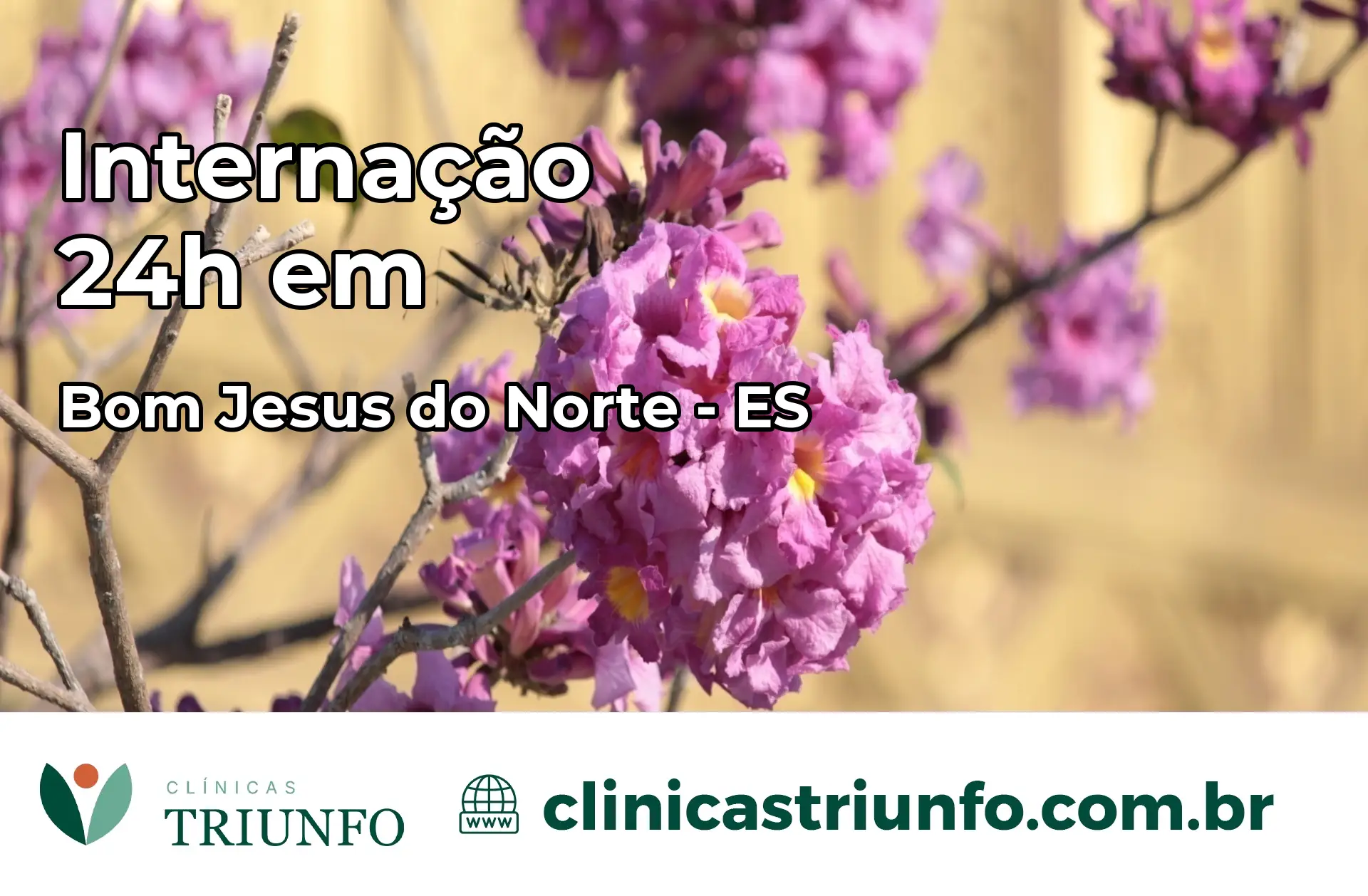 Internação 24 horas em Bom Jesus do Norte – ES