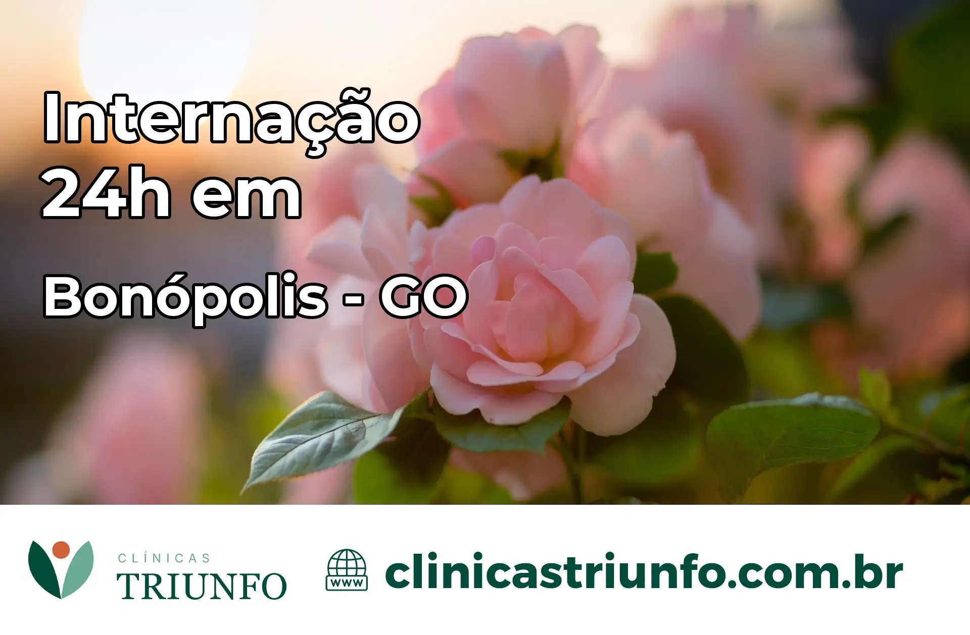 Internação 24 horas em Bonópolis – GO