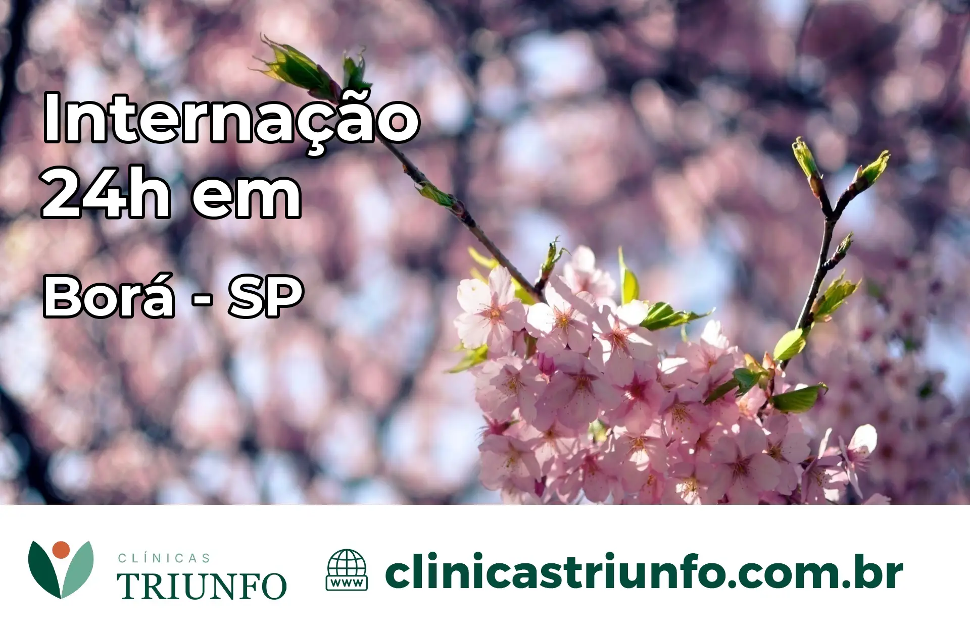 Internação 24 horas em Borá – SP