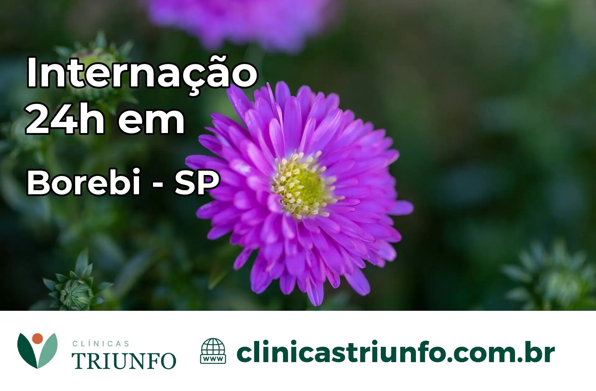 Internação 24 horas em Borebi – SP
