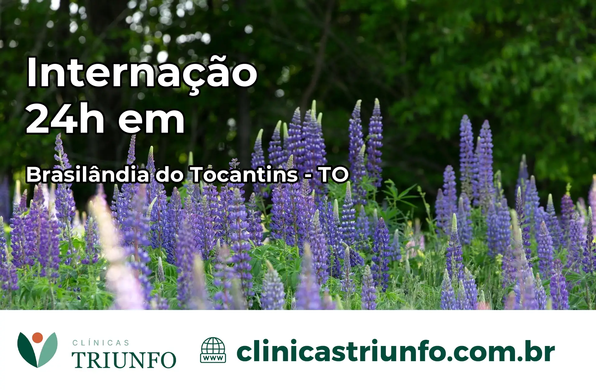 Internação 24 horas em Brasilândia do Tocantins – TO