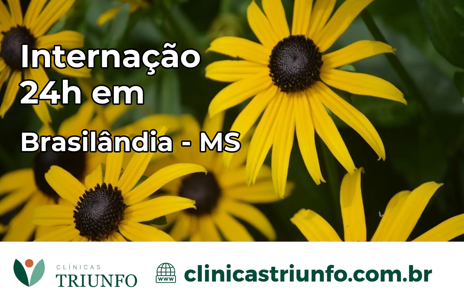Internação 24 horas em Brasilândia – MS
