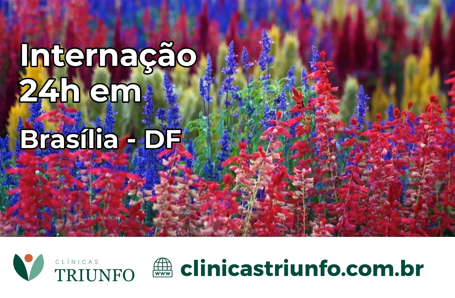 Internação 24 horas em Brasília – DF